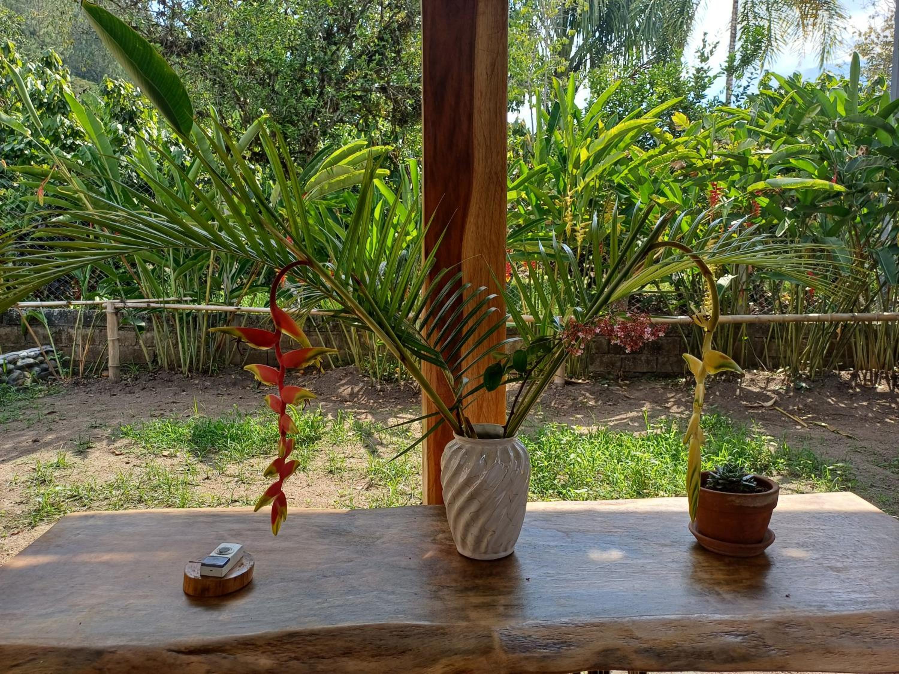 Photo 21