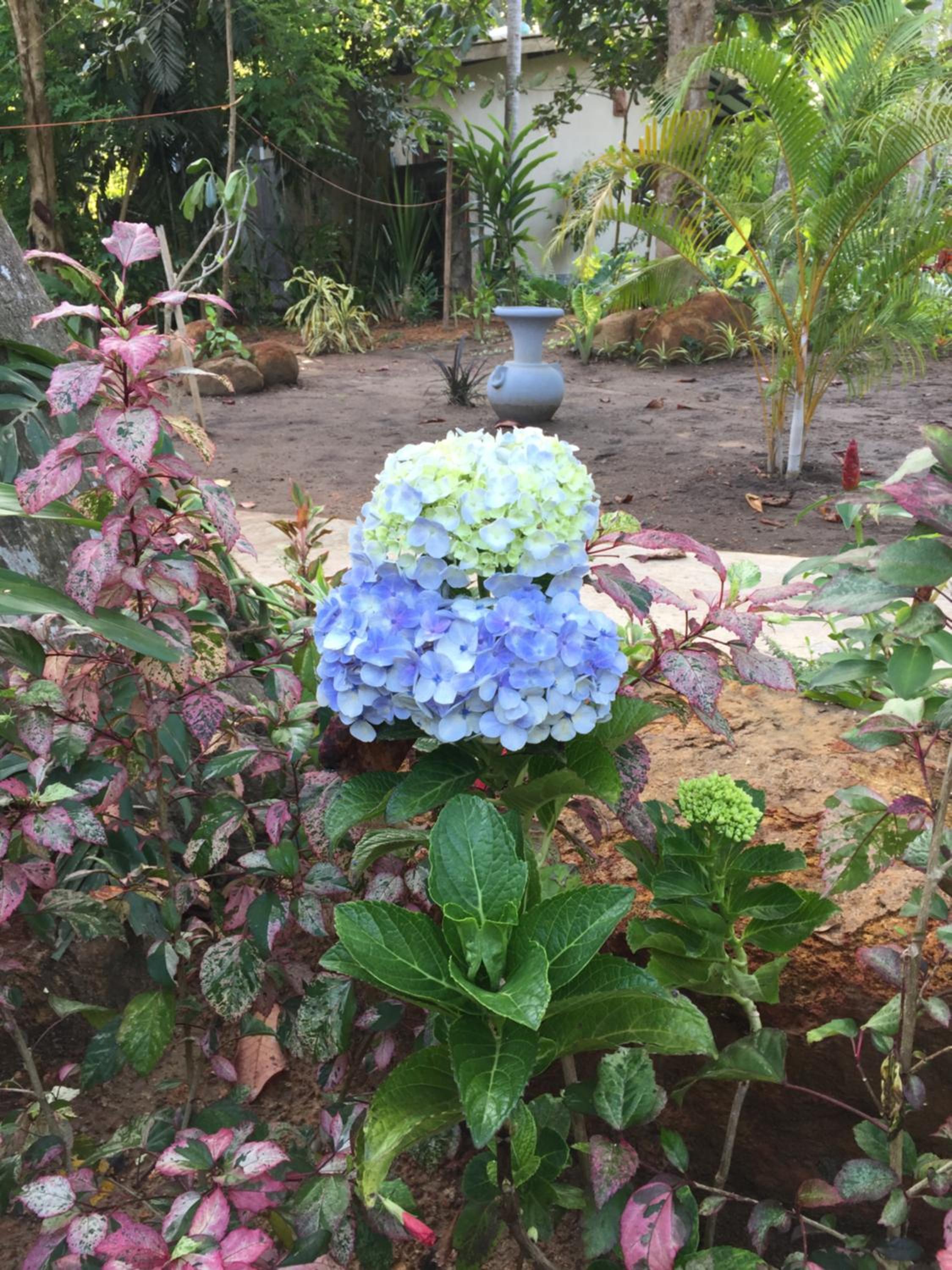 Photo 13