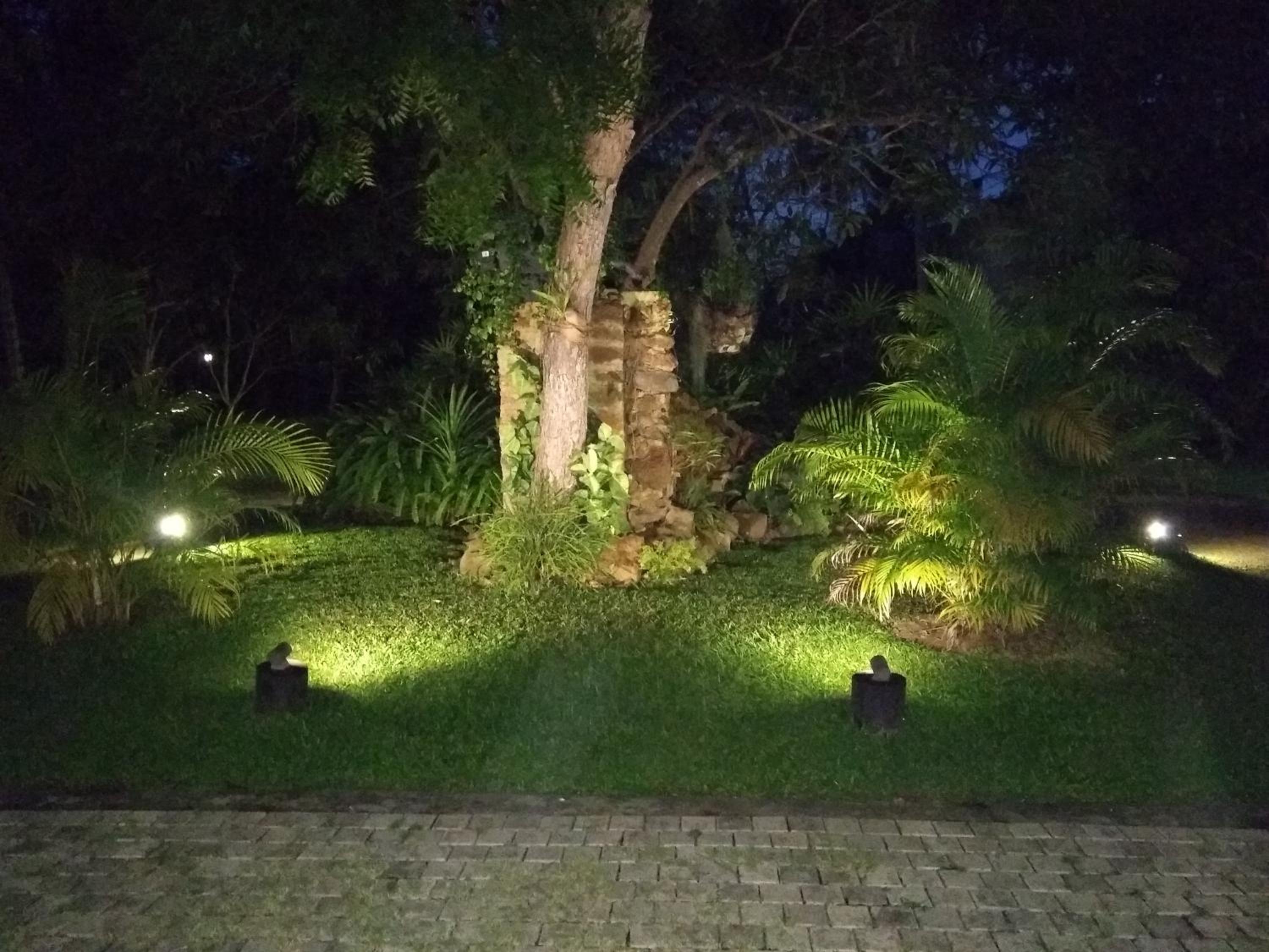 Photo 22