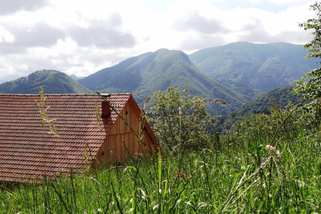 Stunning Hills View Apartment Vransko view 5