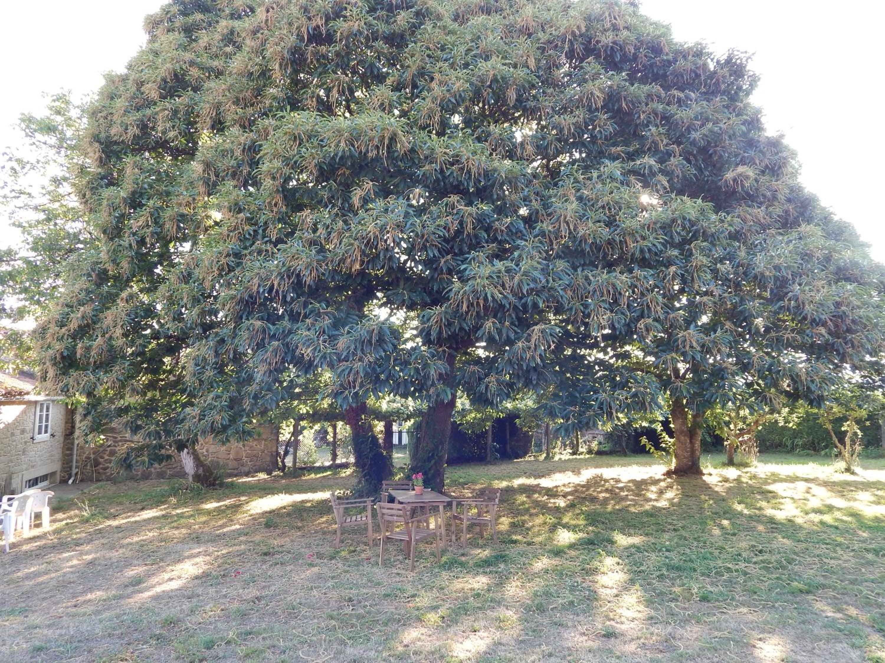 Pensión de Logrosa, photo 31