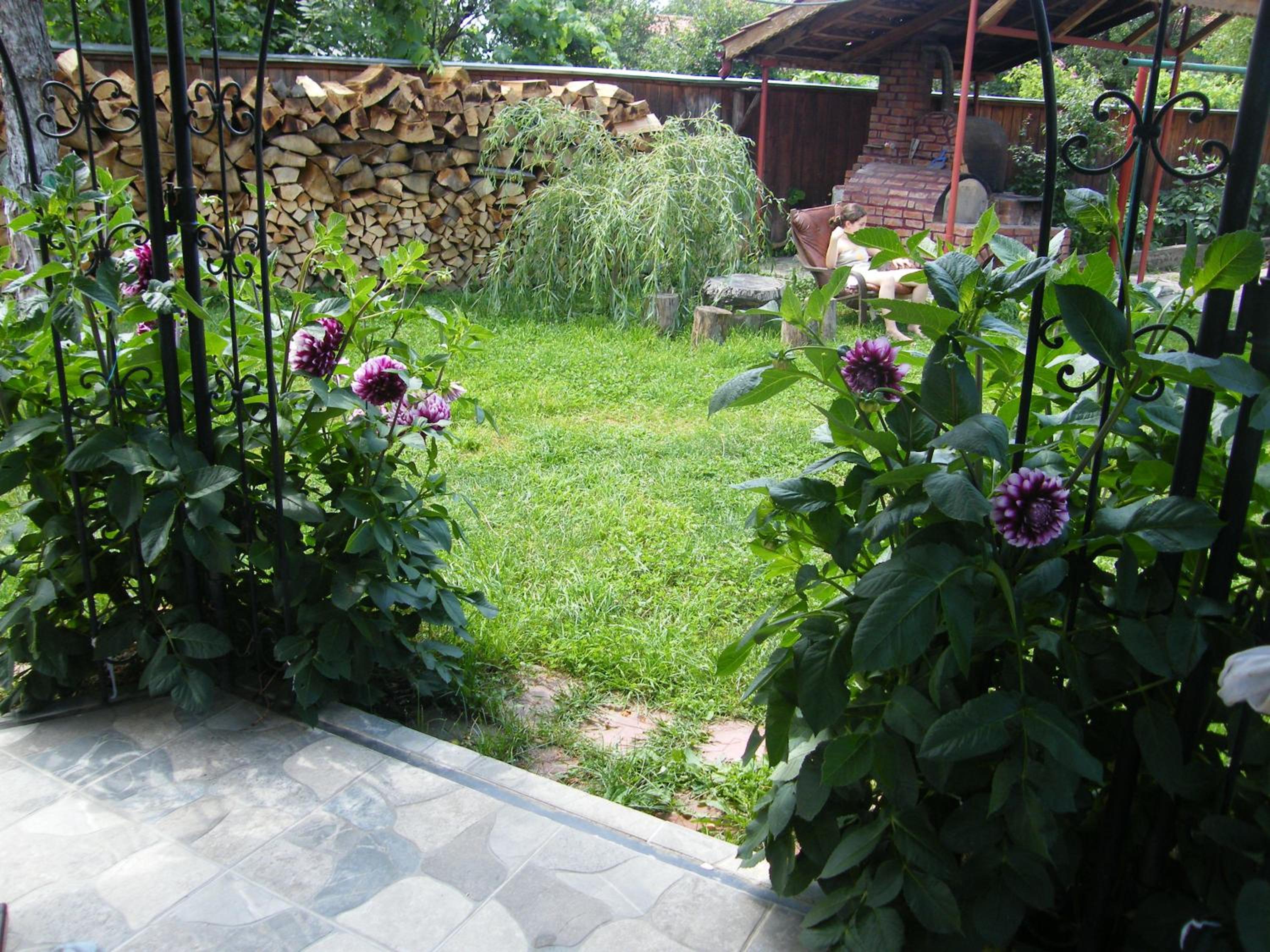 Photo 54