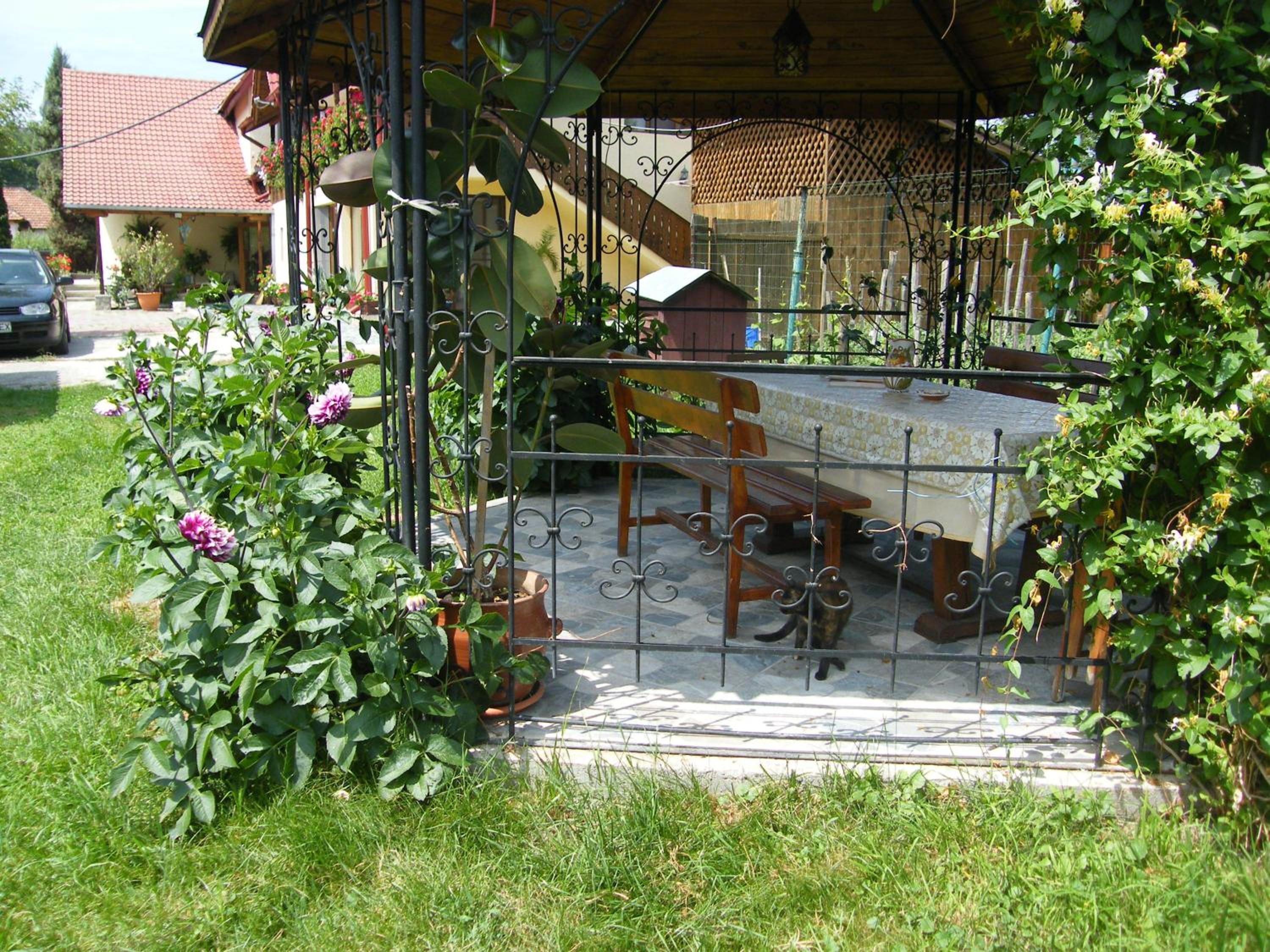 Photo 57