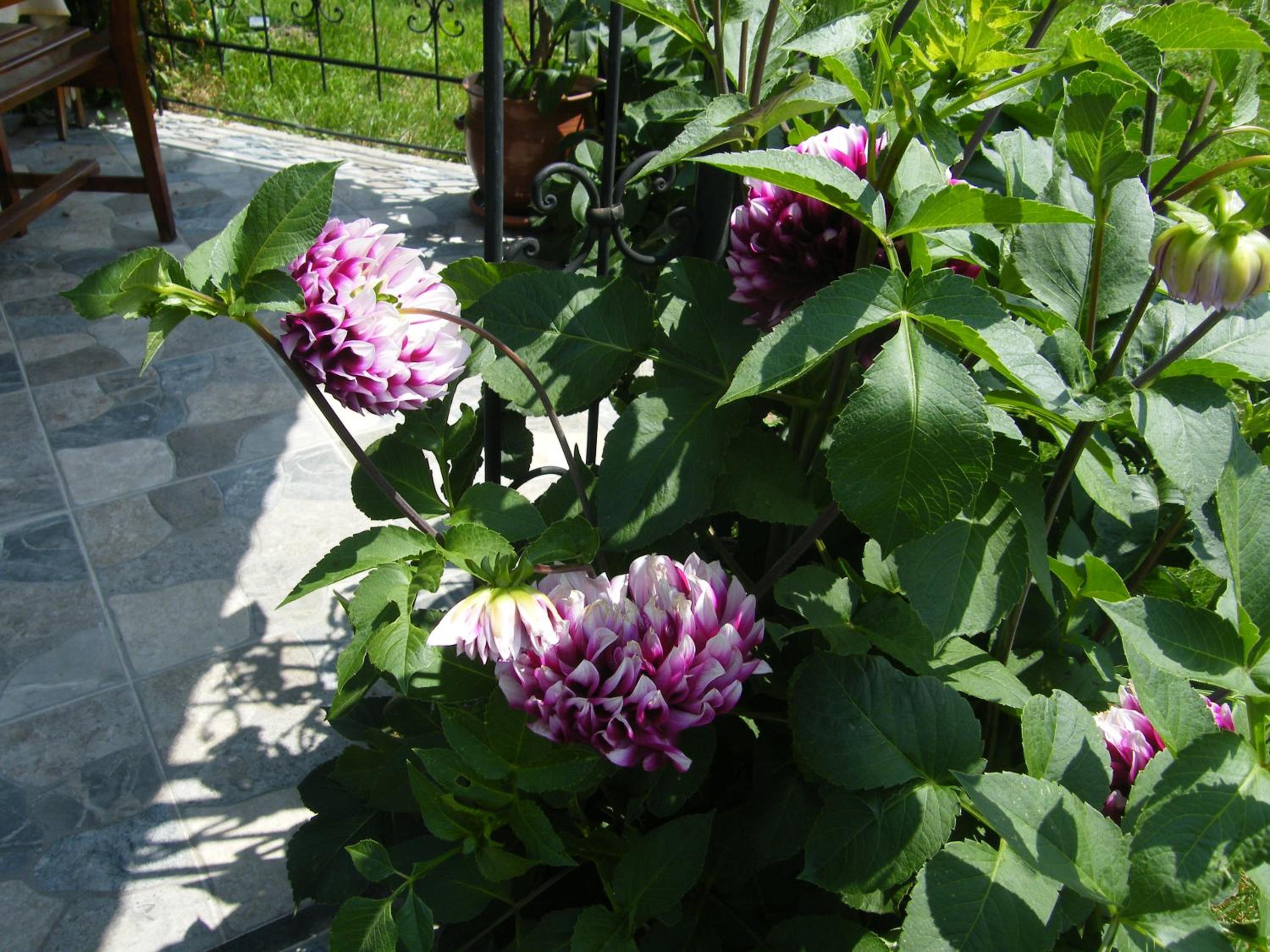Photo 17