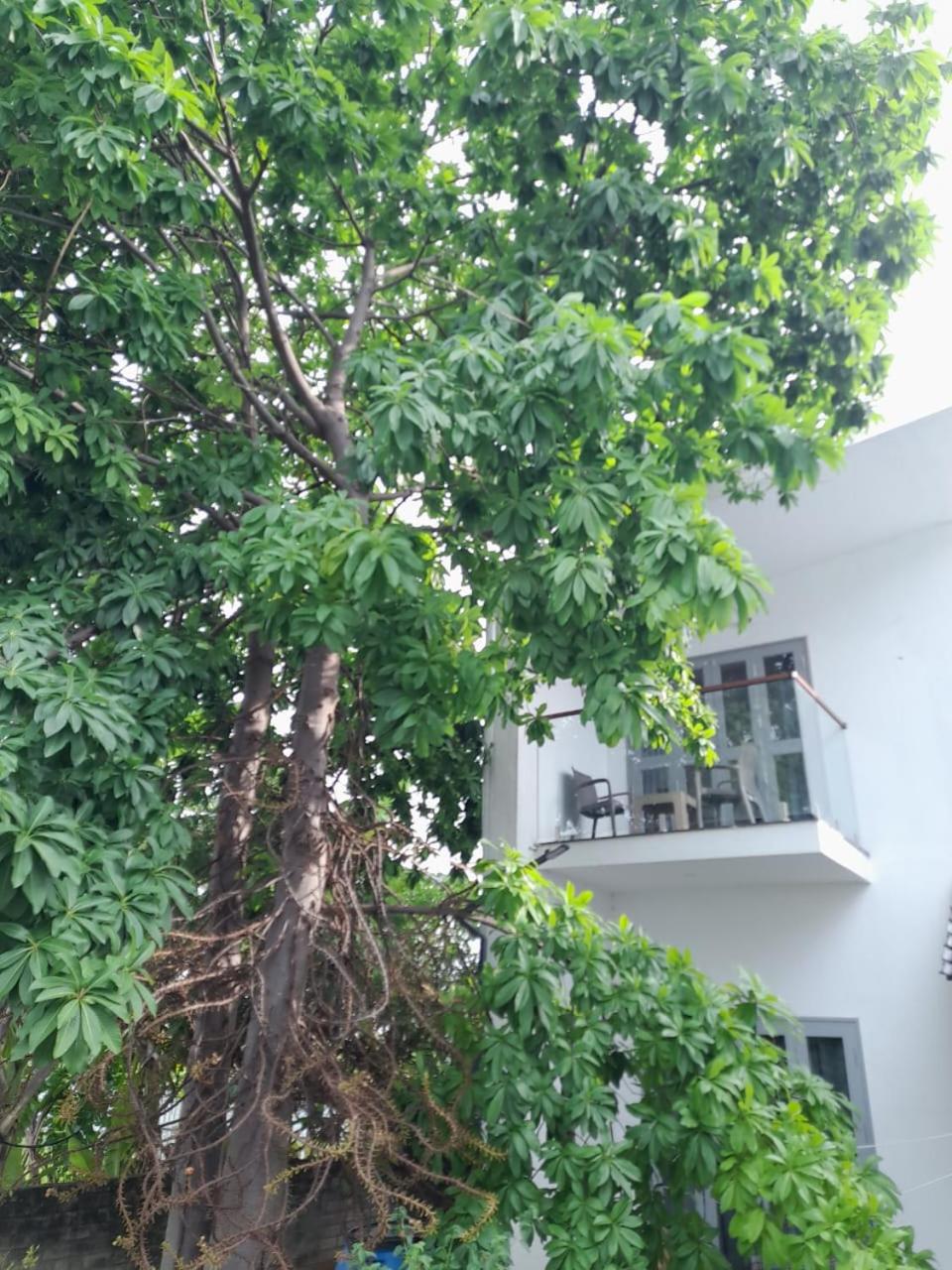 Photo 23