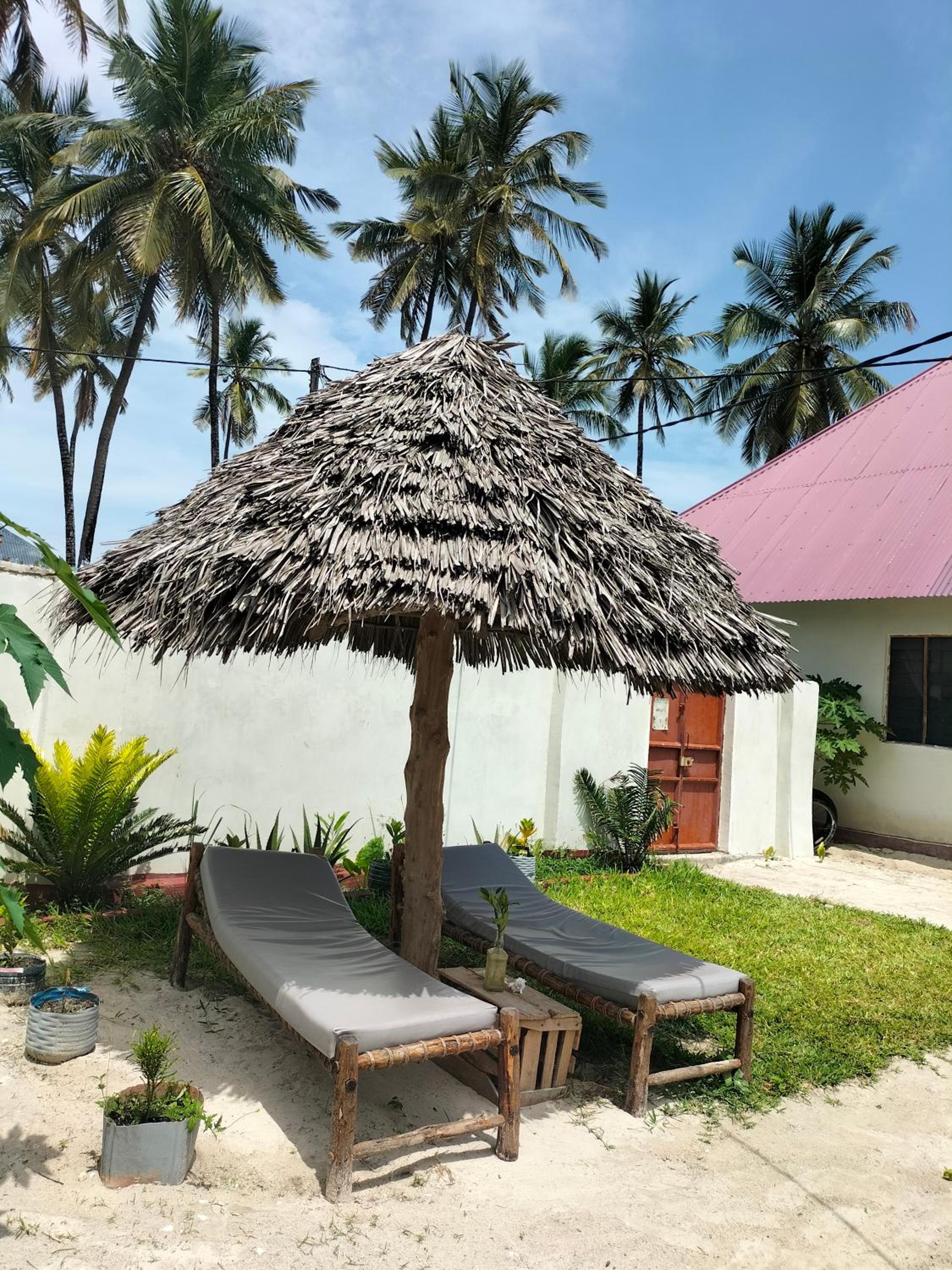 Mambo Leo Hostel view 2