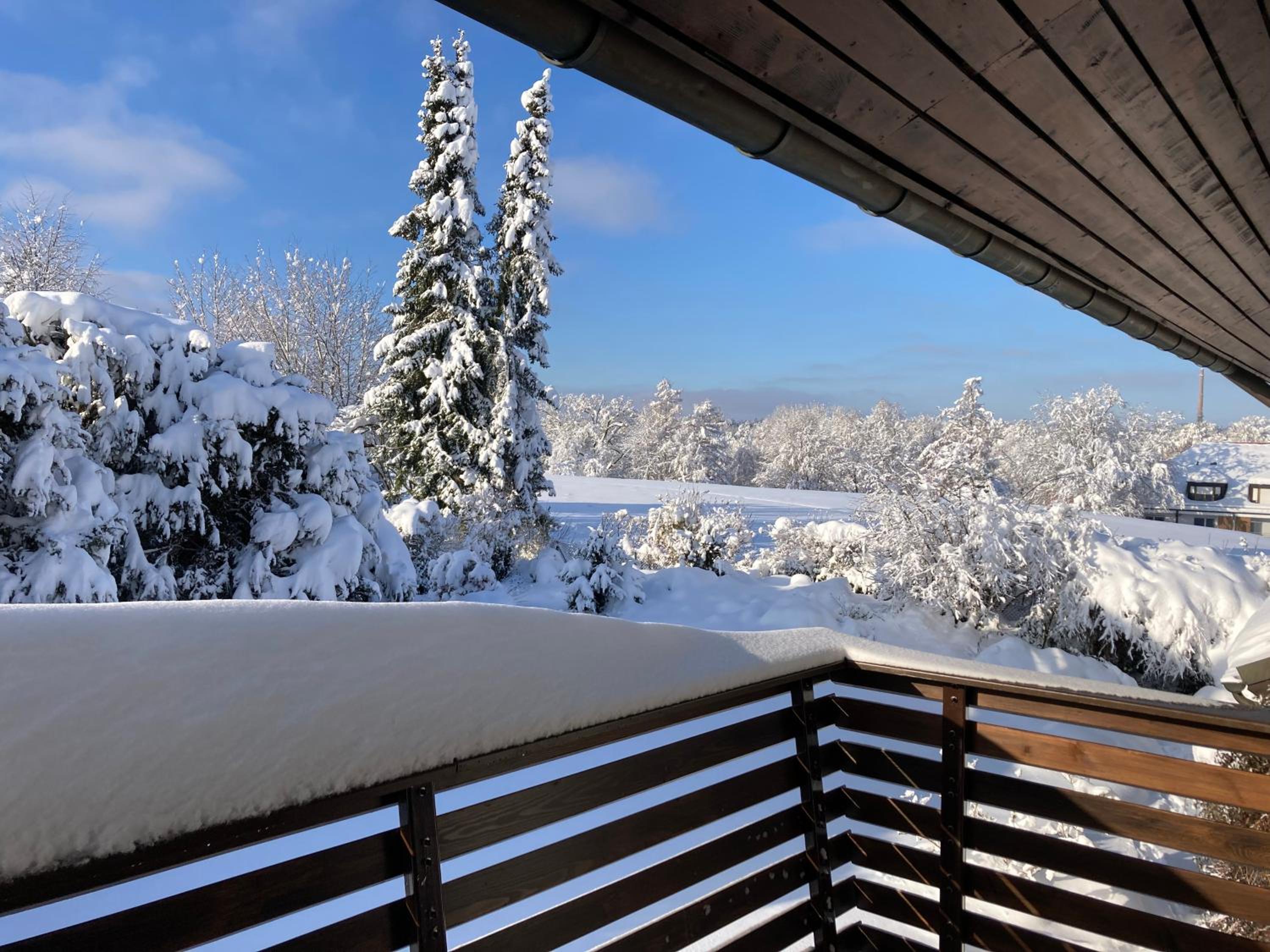An den Isarauen view 2
