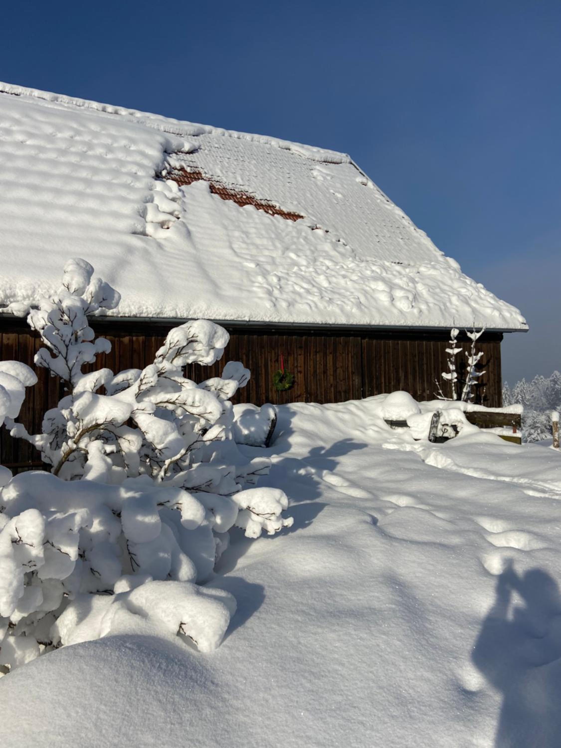 Allgäu Cottage - traumhafter Blick in die Schweizer Berge