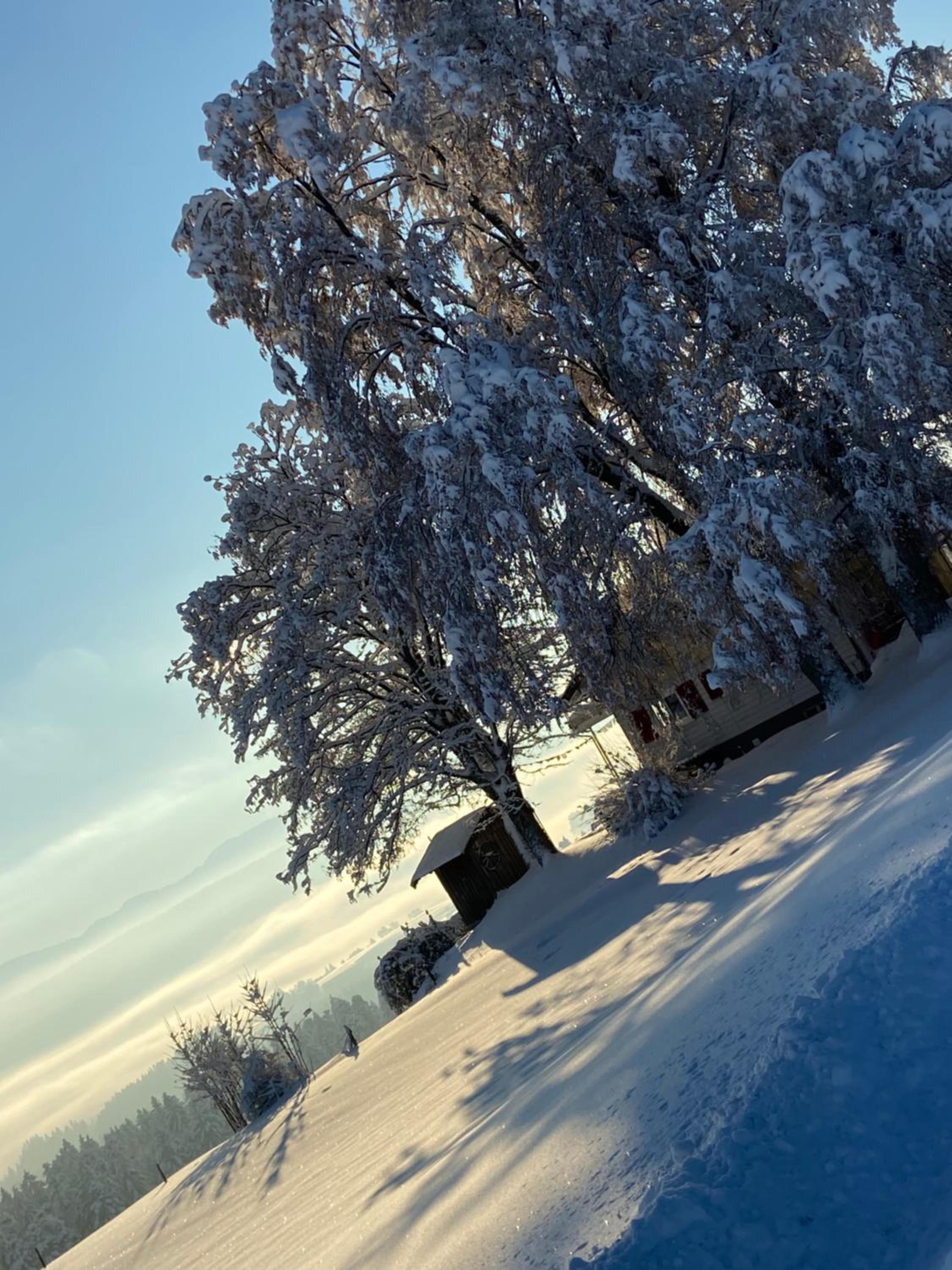 Allgäu Cottage - traumhafter Blick in die Schweizer Berge