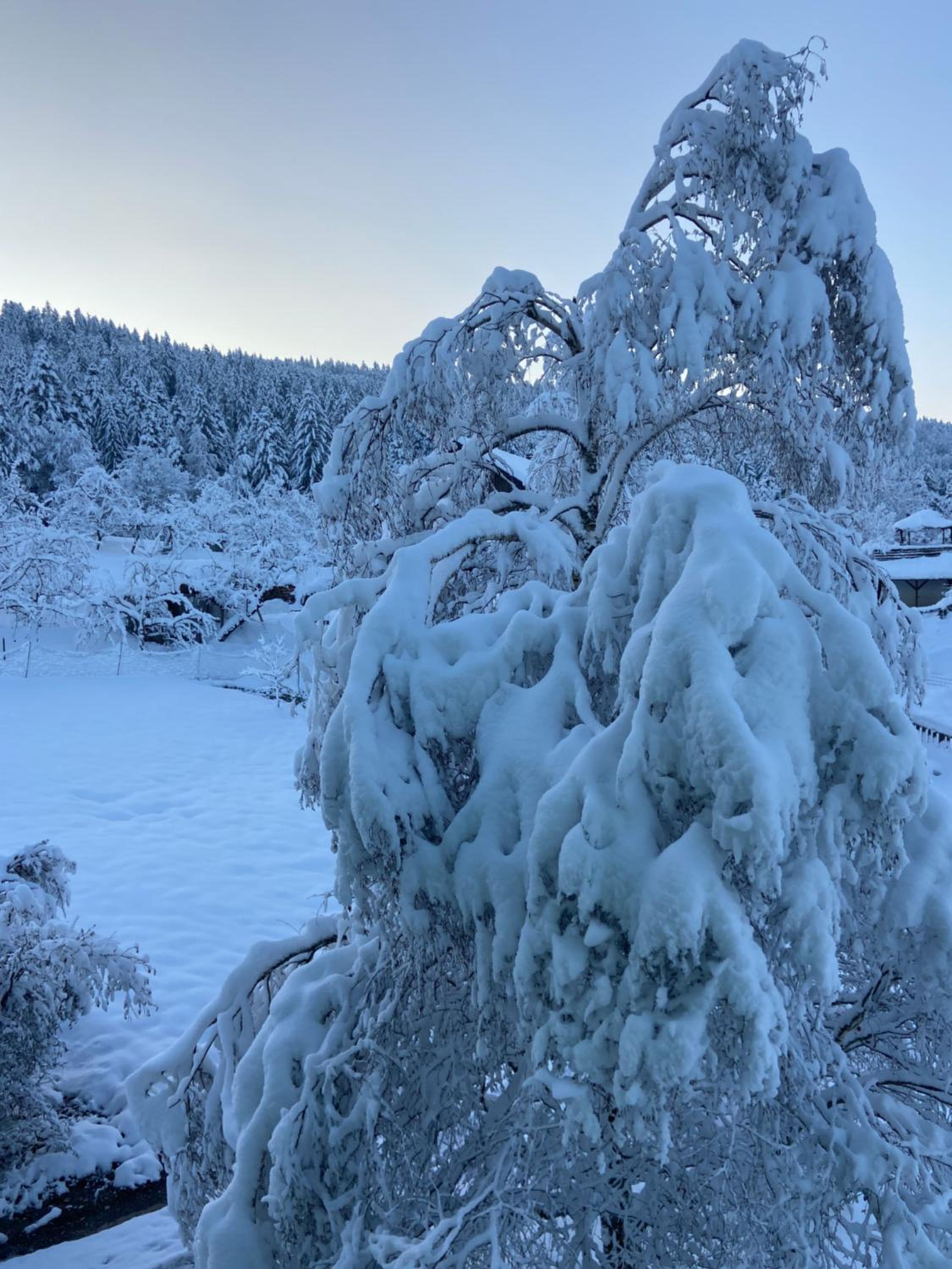 Allgäu Cottage - traumhafter Blick in die Schweizer Berge