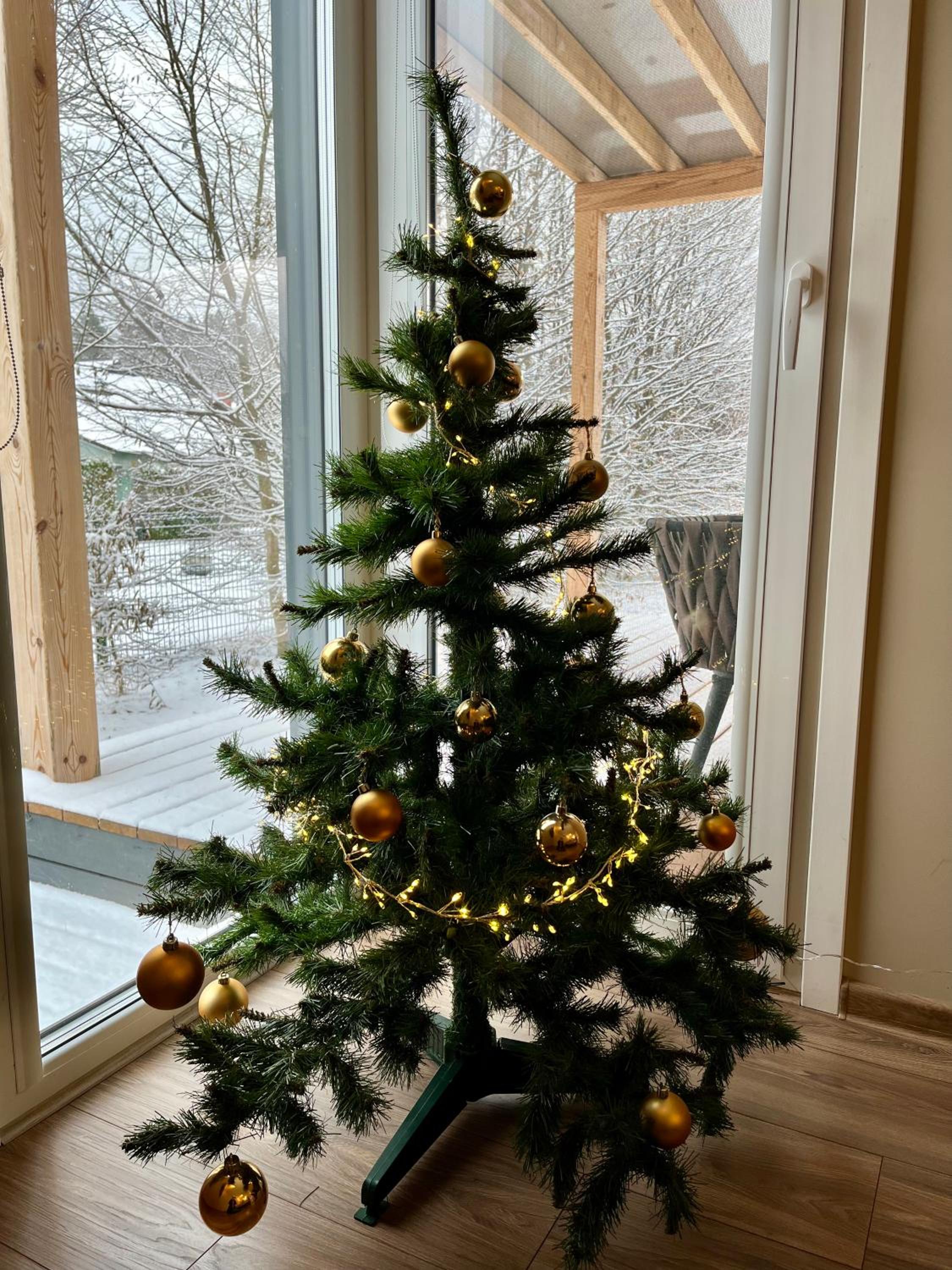 Photo 27