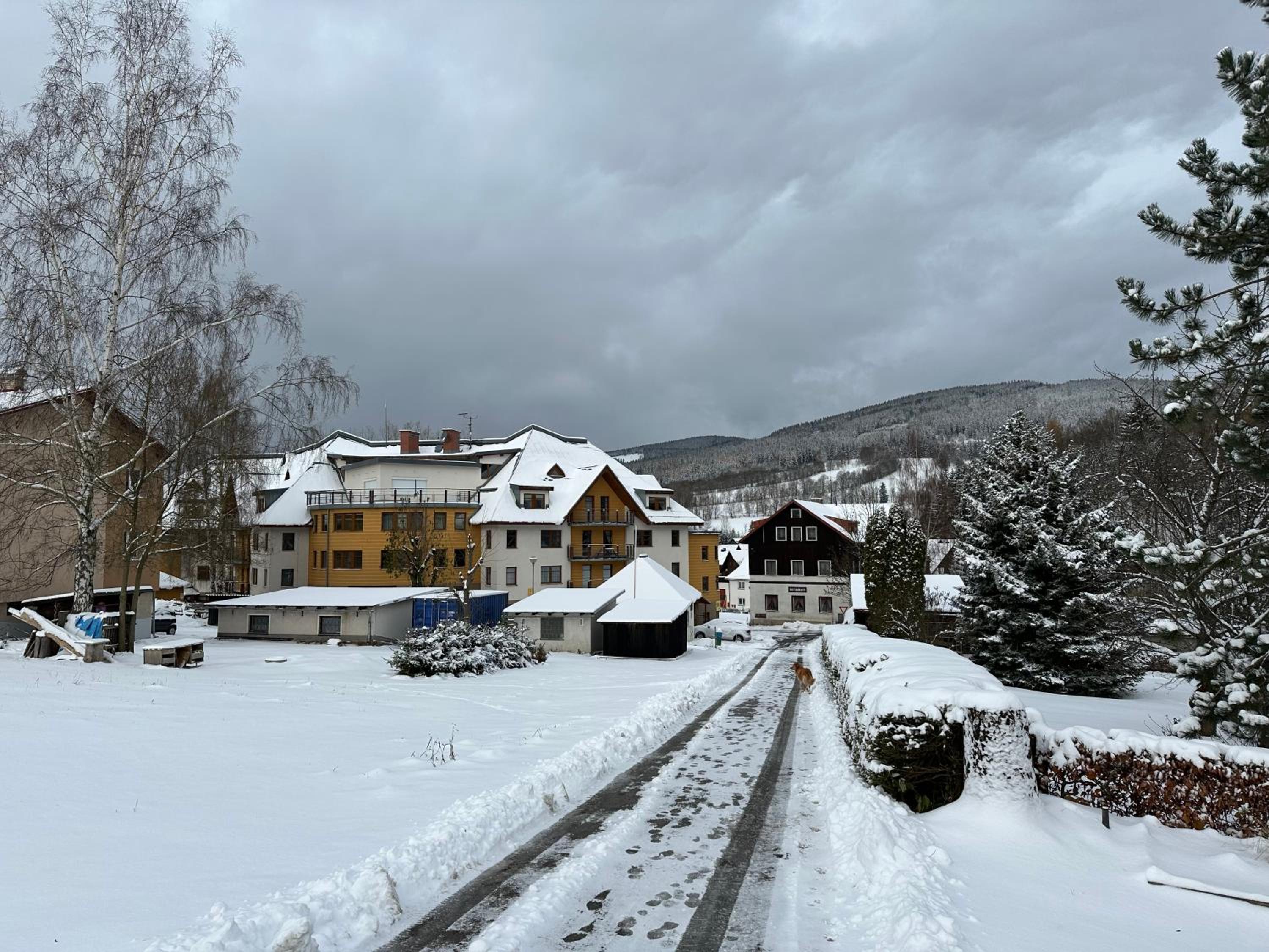 Rokytka apartmán 217