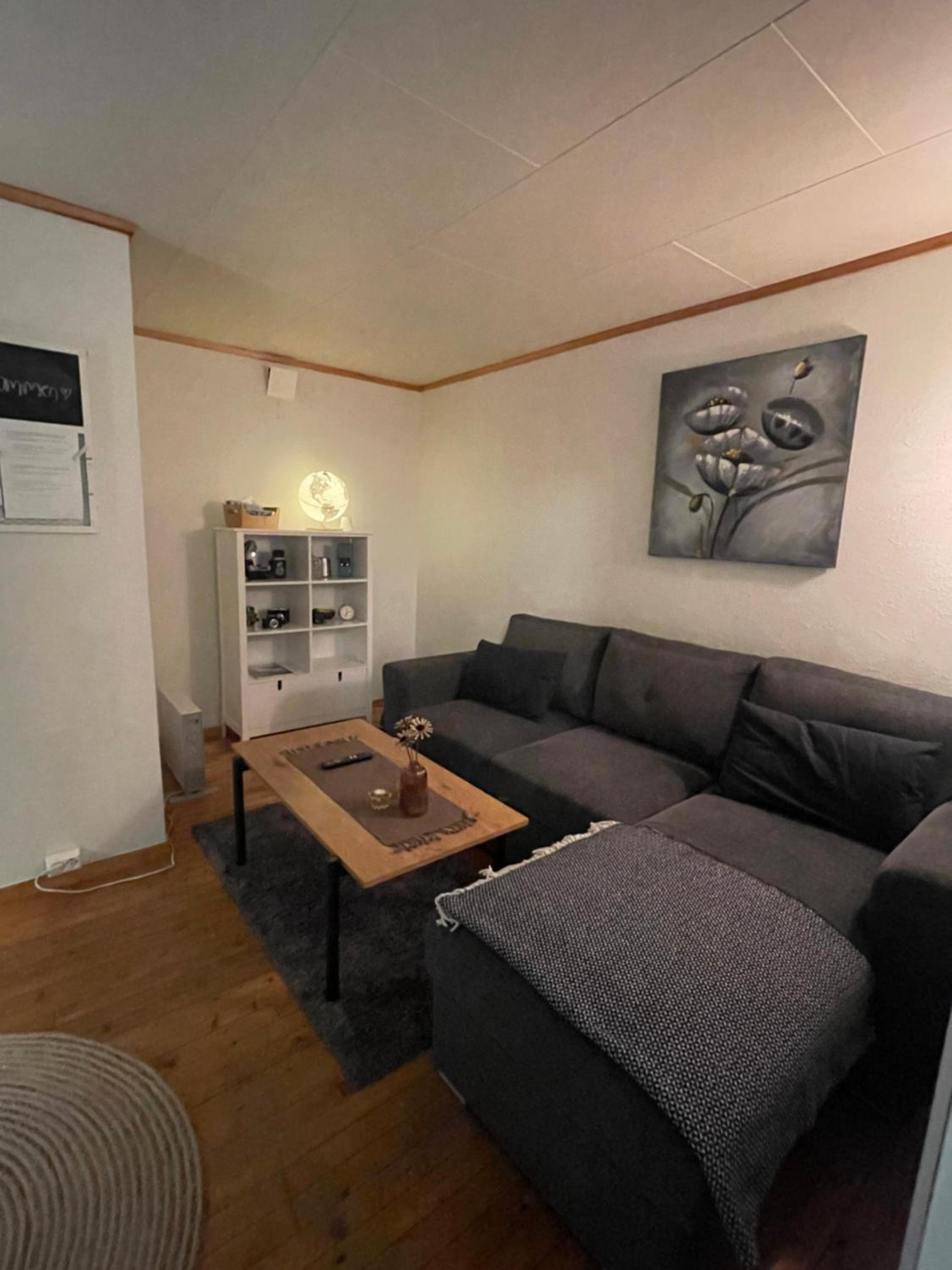Liten eldre og koselig studiohybel