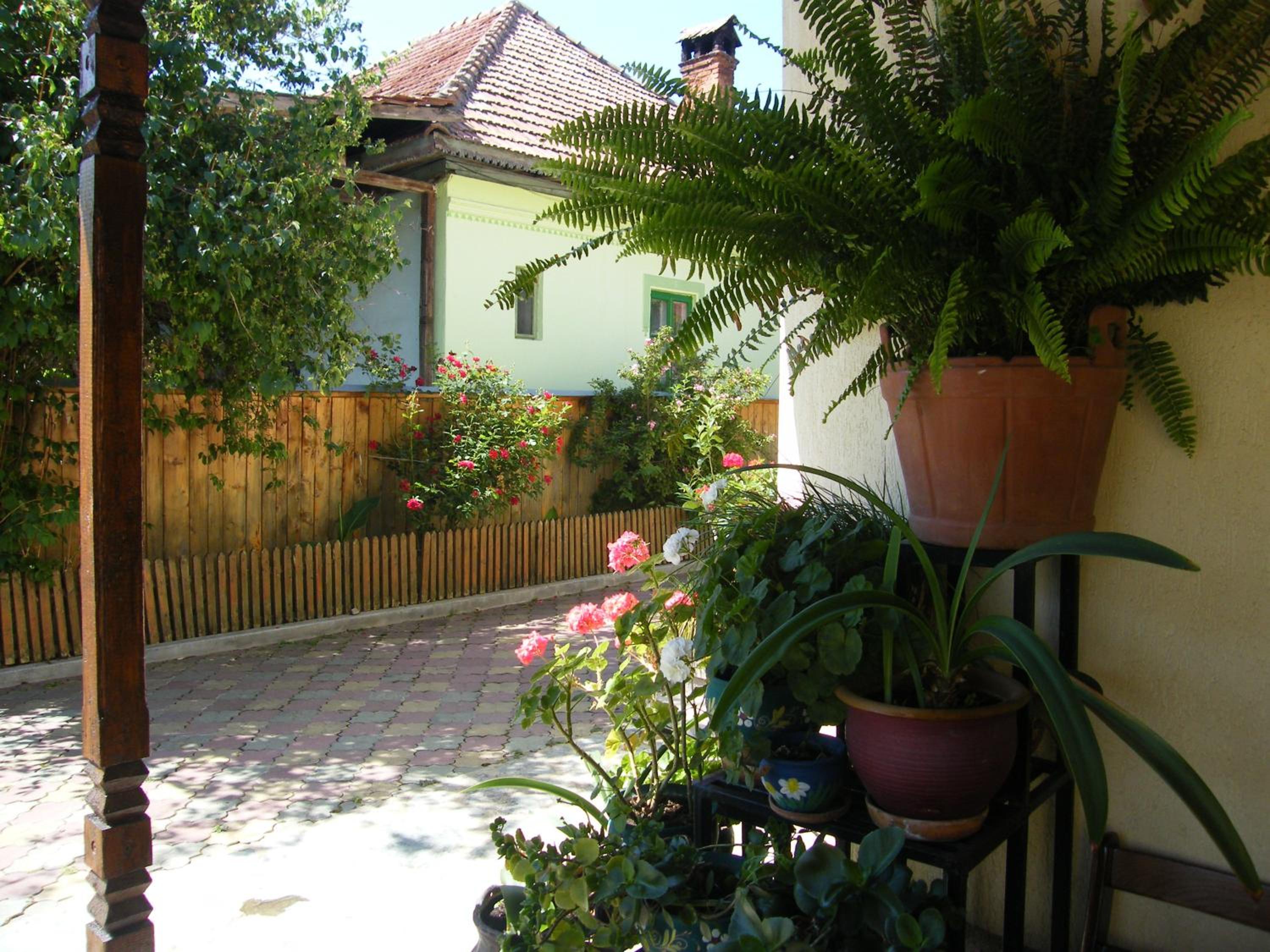 Photo 40