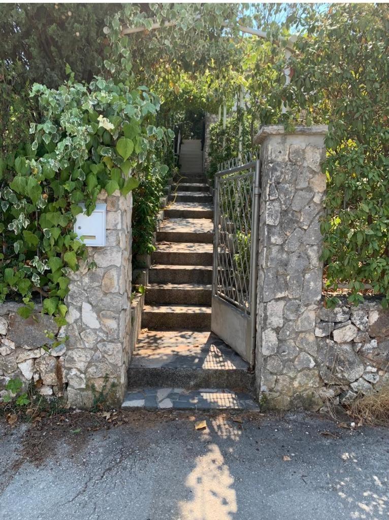 Apartament Abi