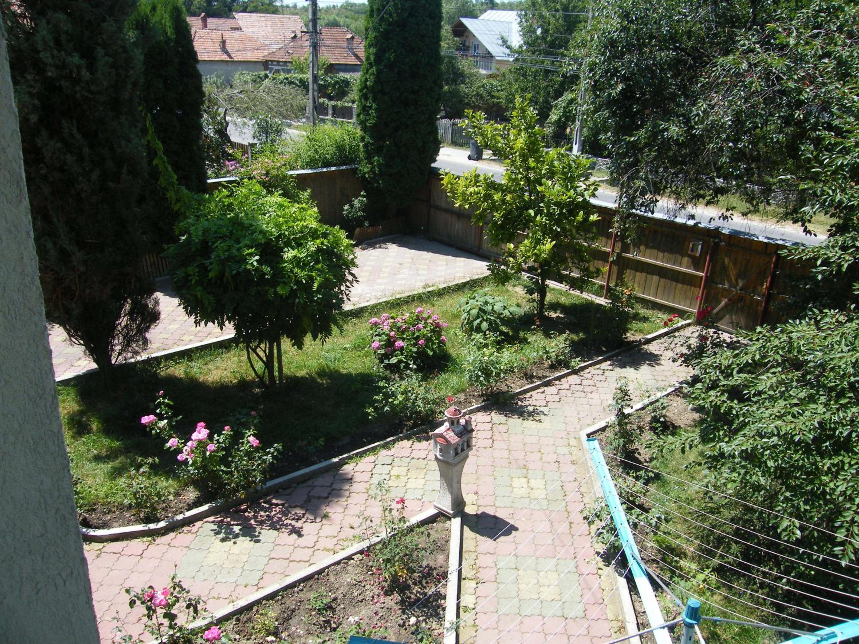 Photo 41