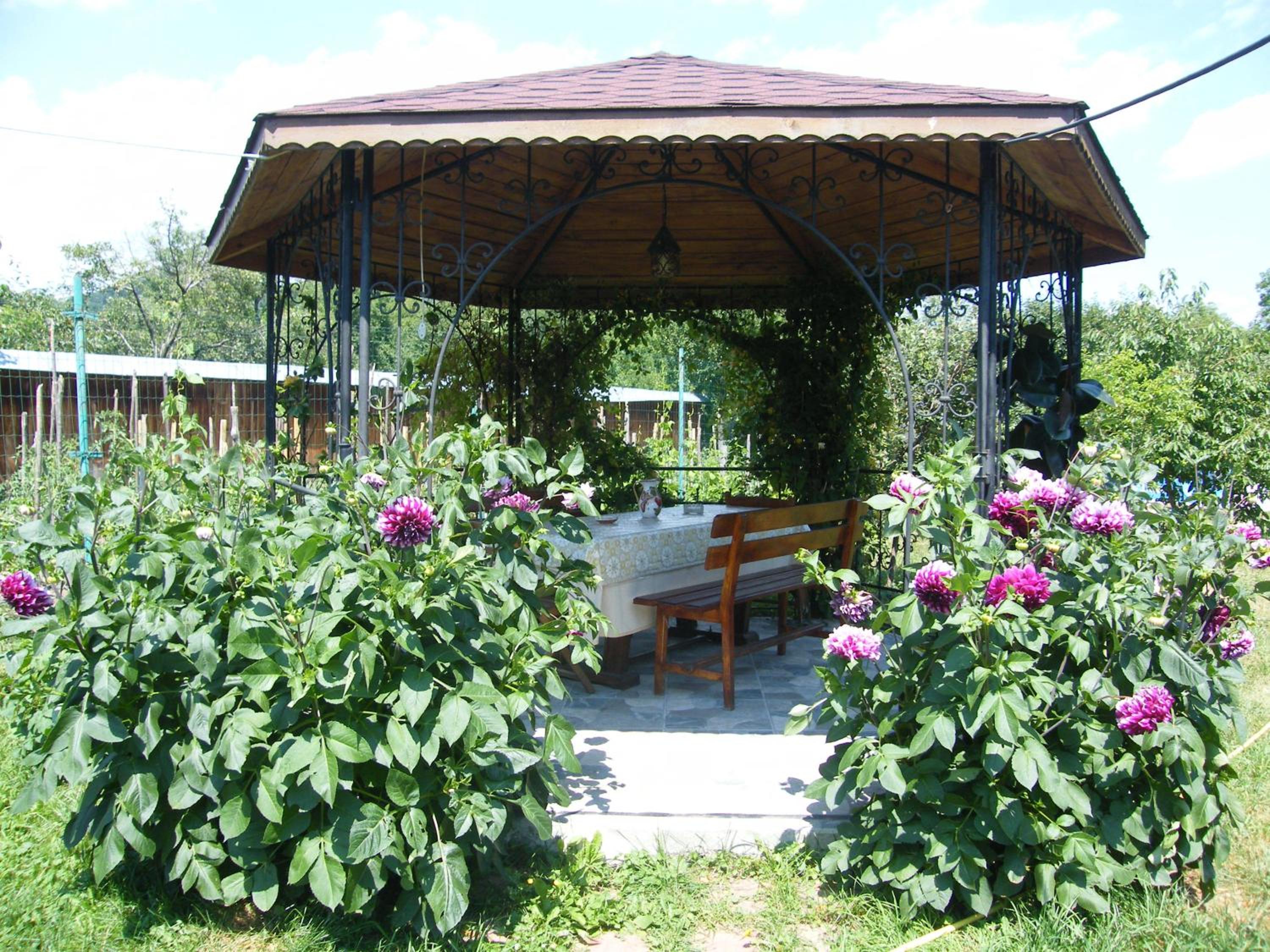Photo 46