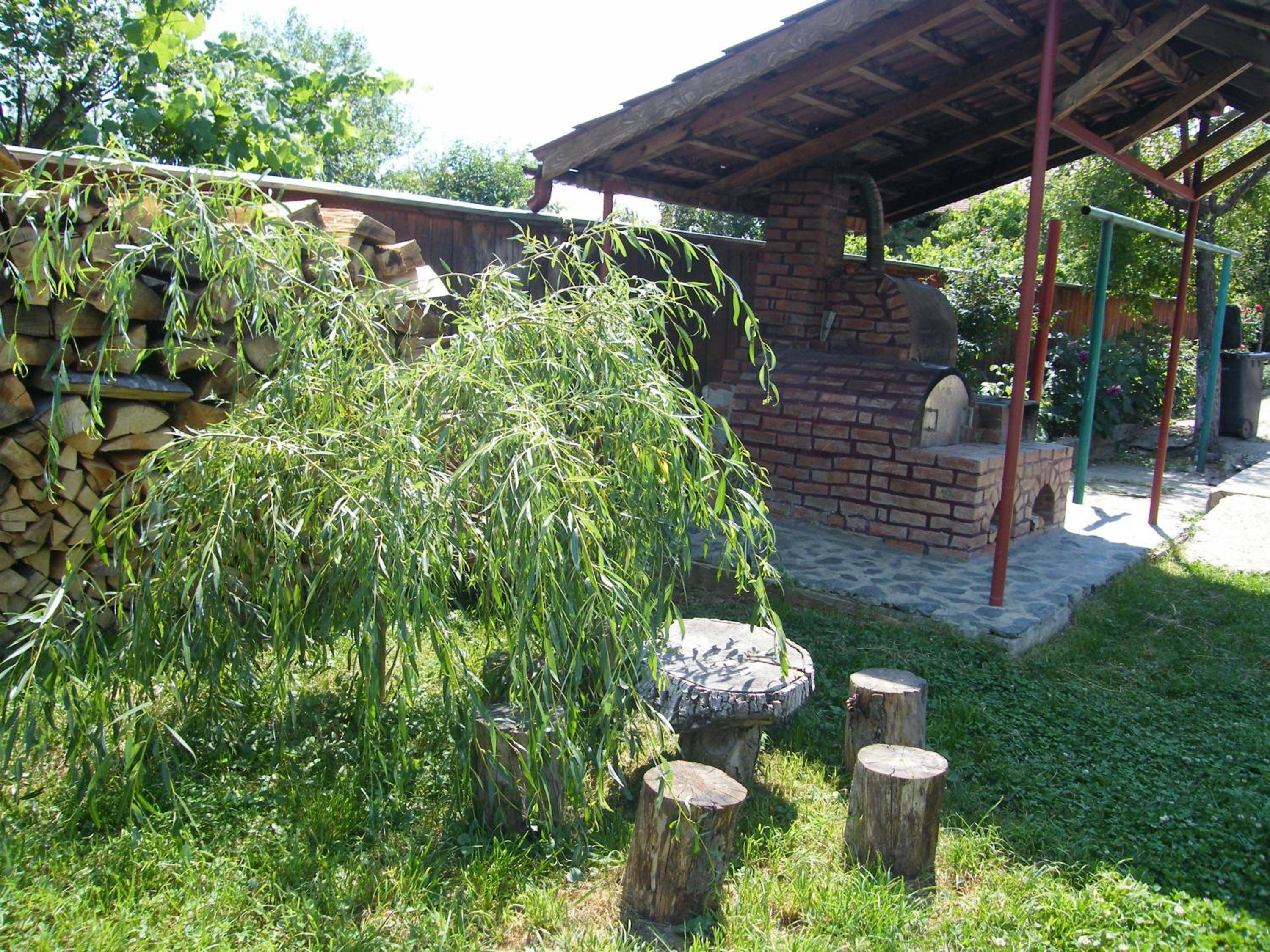 Photo 47