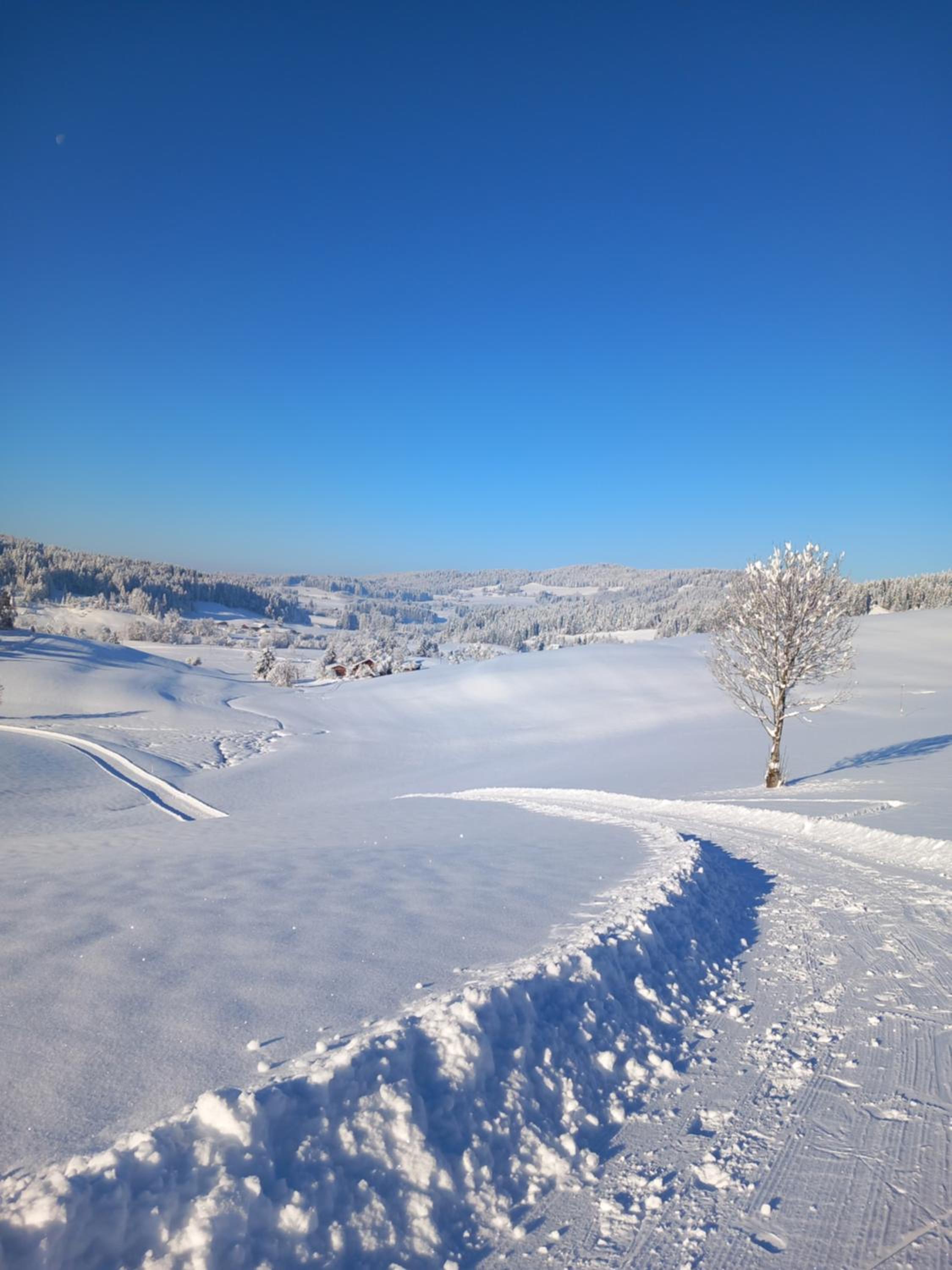 FeWo Alpenfreude mit Hallenbad