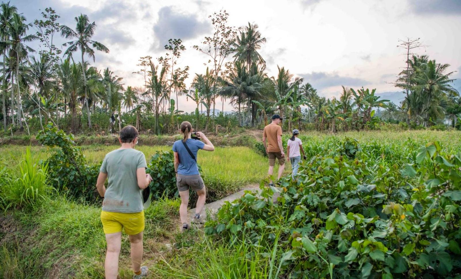 Adventure Turtle Homestay Meru Betiri