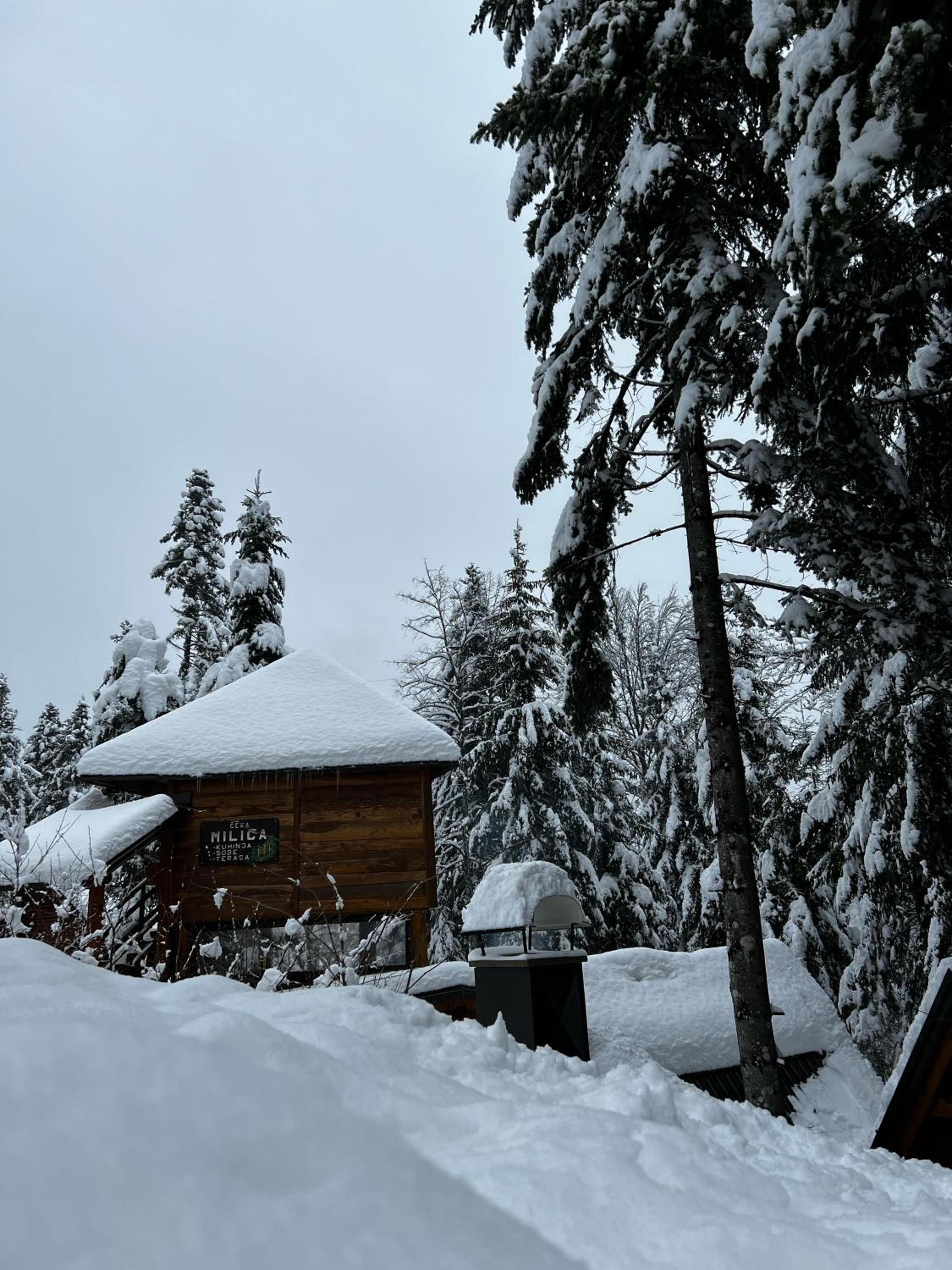 Forest Amerika-Bungalovi Milica