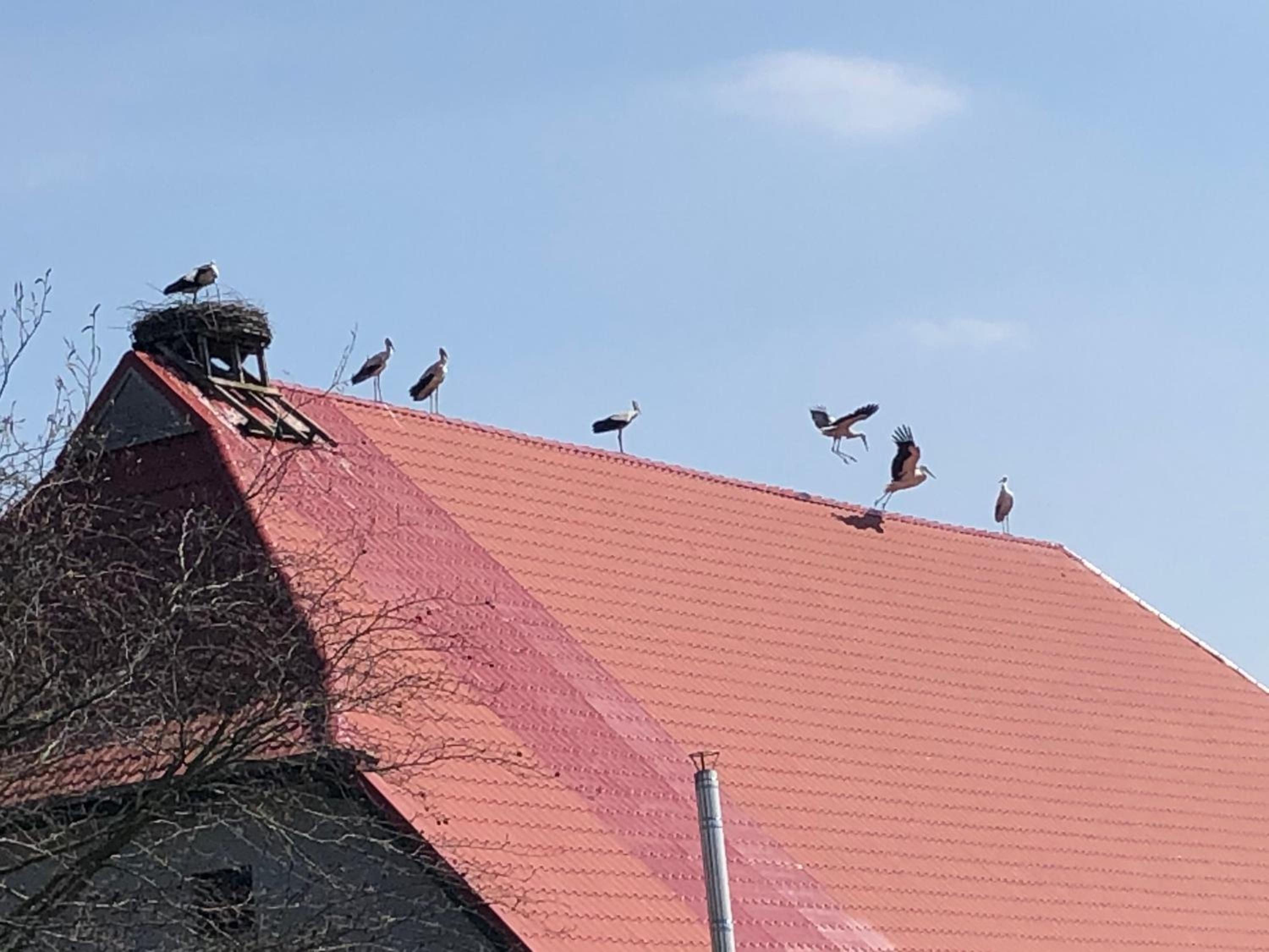 Storchenhof