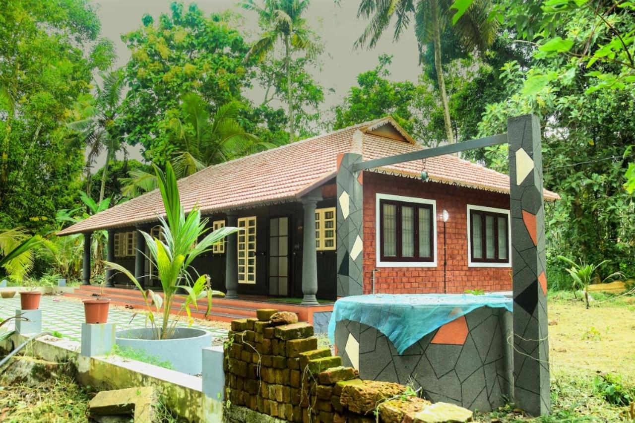 Manjippuzha Nature Space view 5