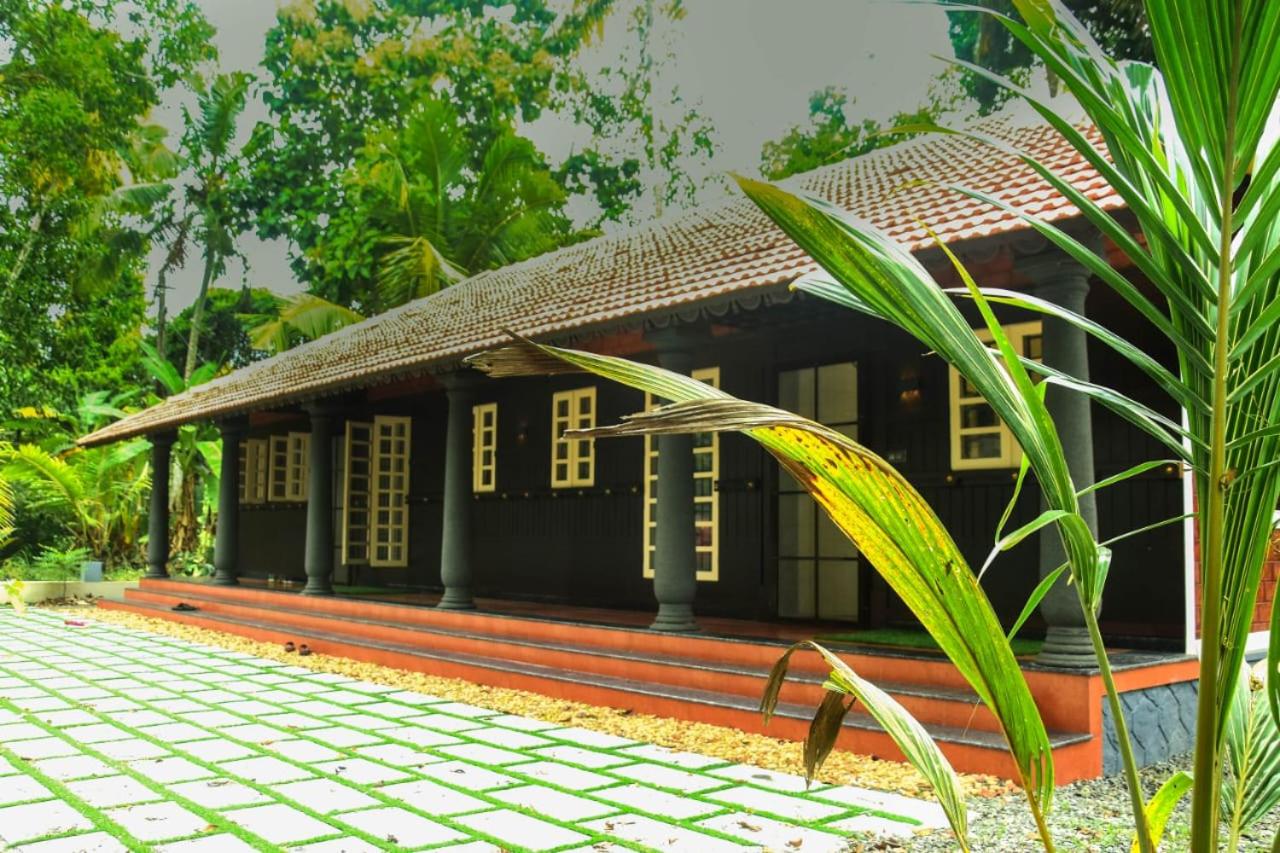 Manjippuzha Nature Space view 4