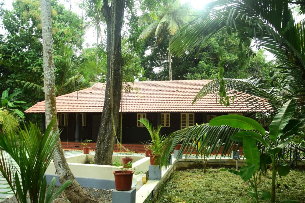 Manjippuzha Nature Space view 3