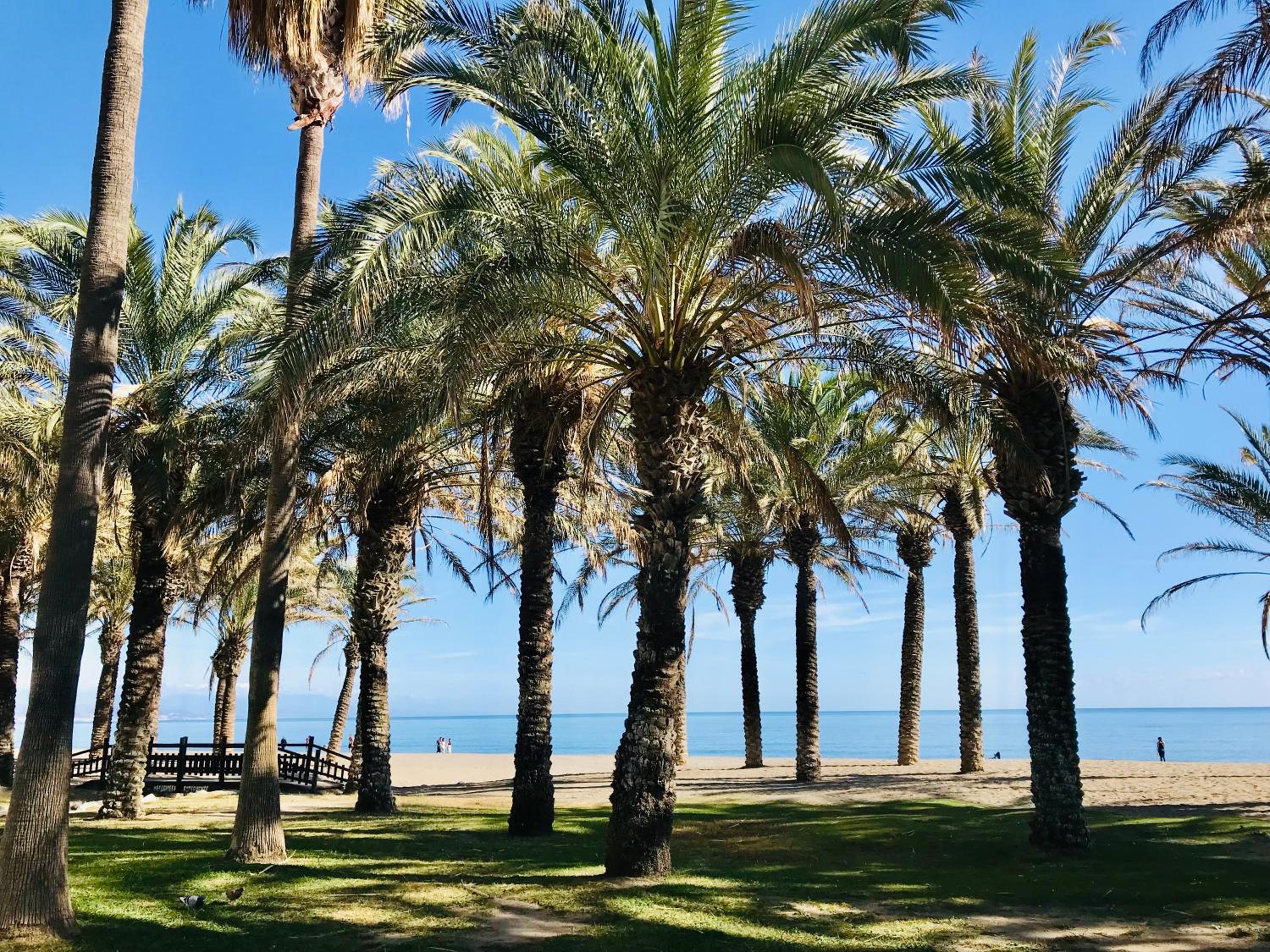 Apartamento frente al mar TORRES DE PLAYAMAR en Torremolinos