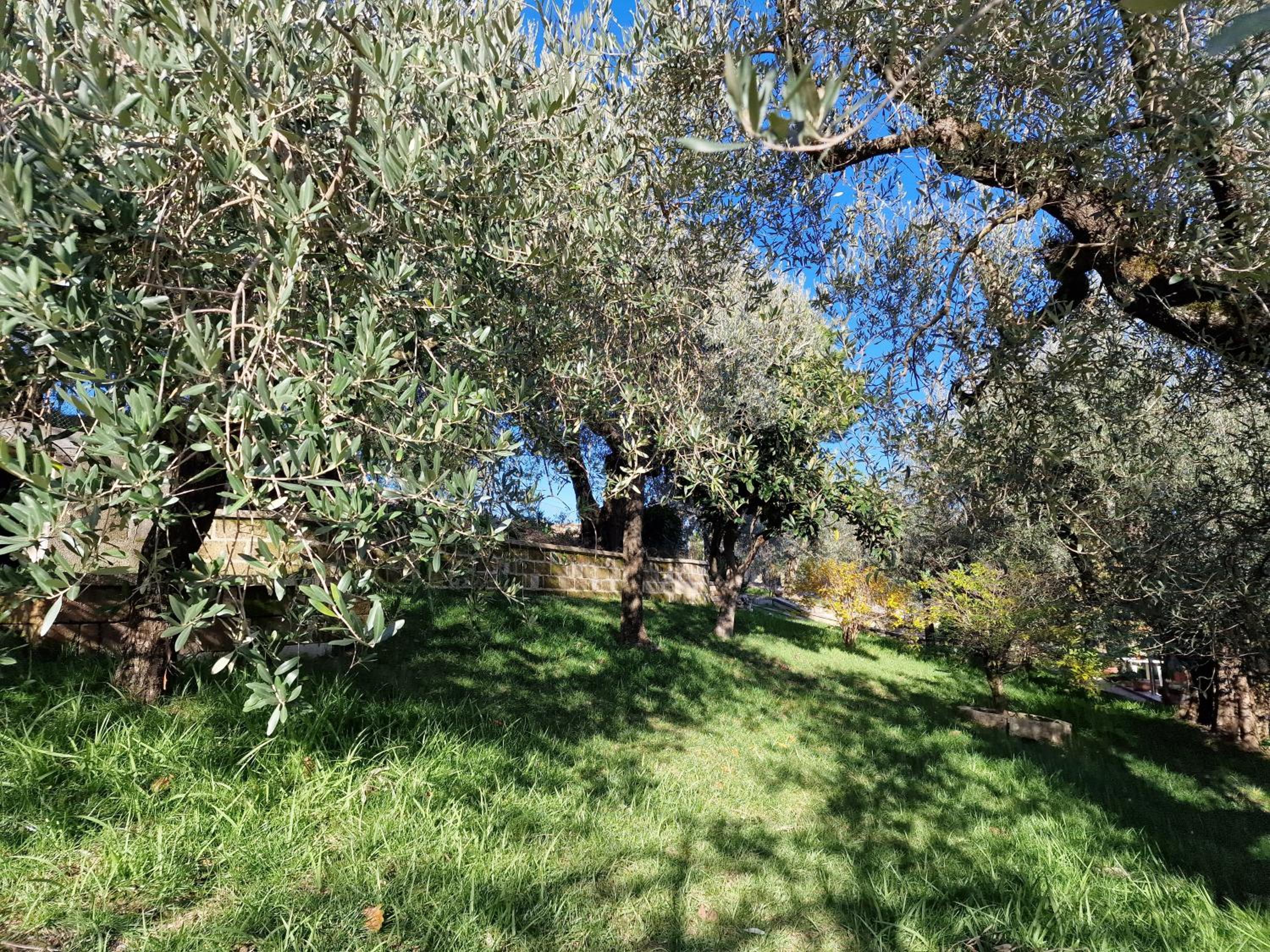 Habitat - Casa Vacanze Perugia photo 4