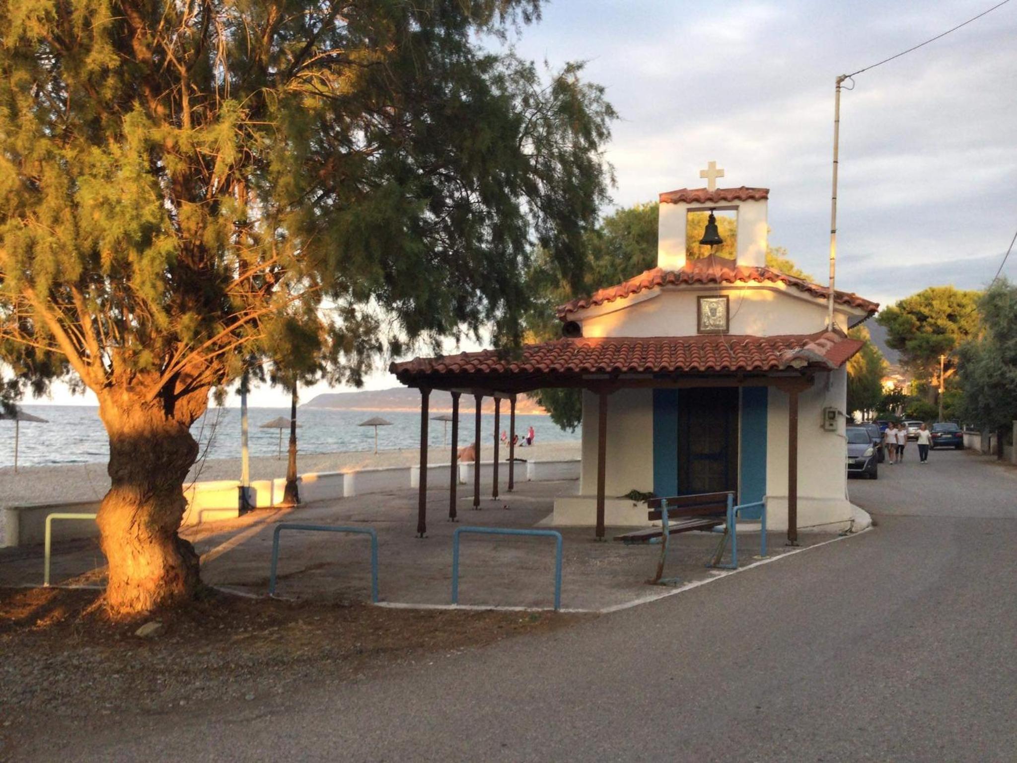 Photo 19