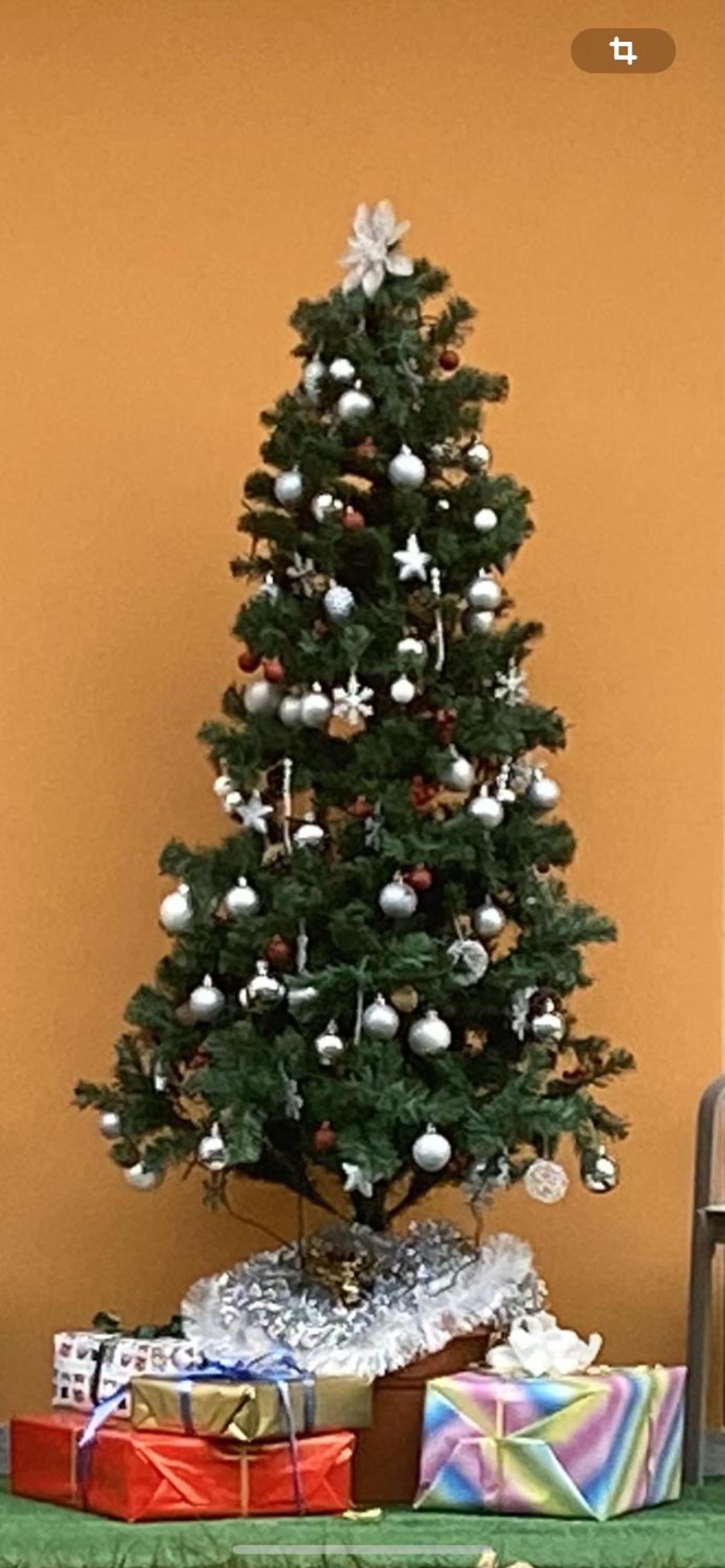 Photo 6