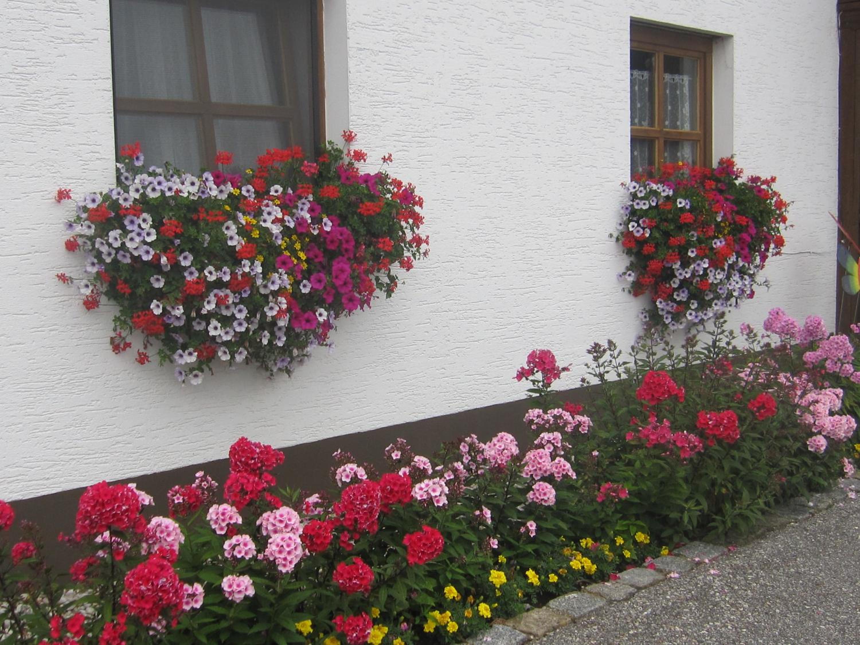 Erwachsenen Aparthotel DER WIESERHOF Wunderschöne Einzellage, photo 26