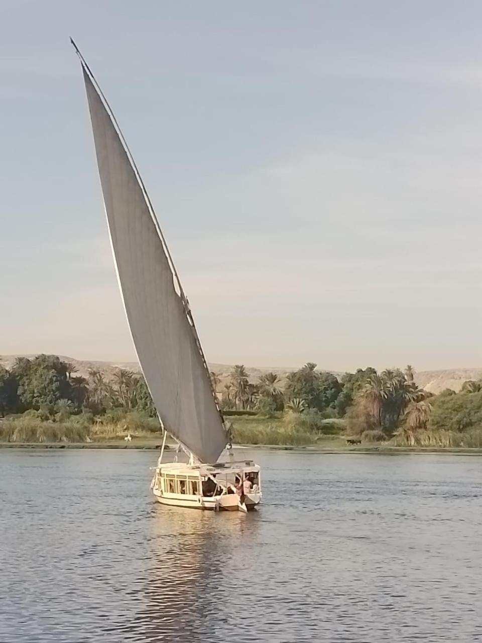 Nile Felucca Adventure