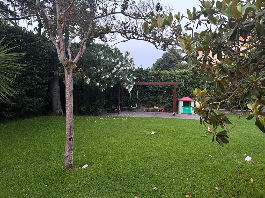 Ottomood B&B and Apartments
