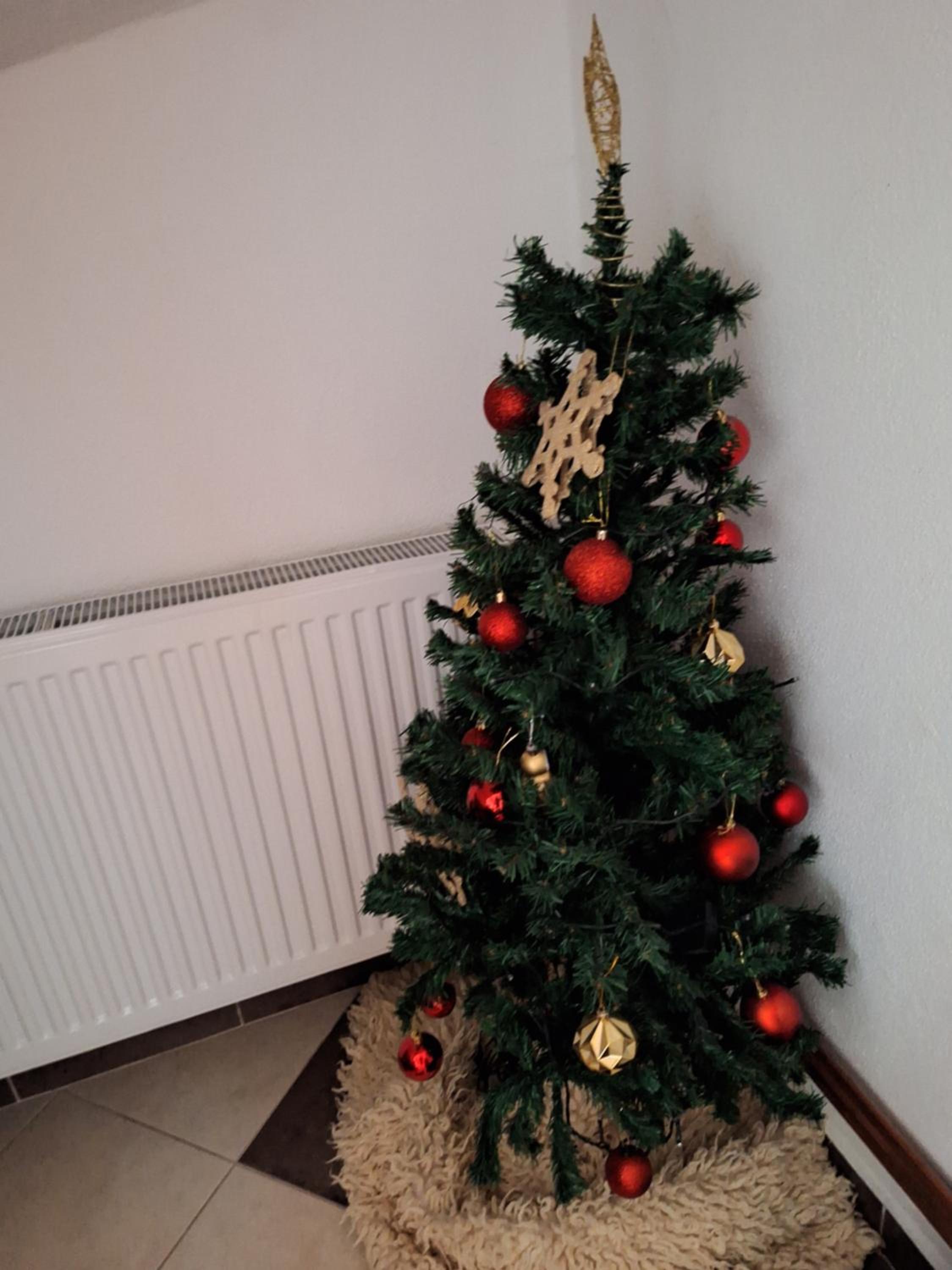 Apartmani "DA HOX" Vlašić 1 view 4