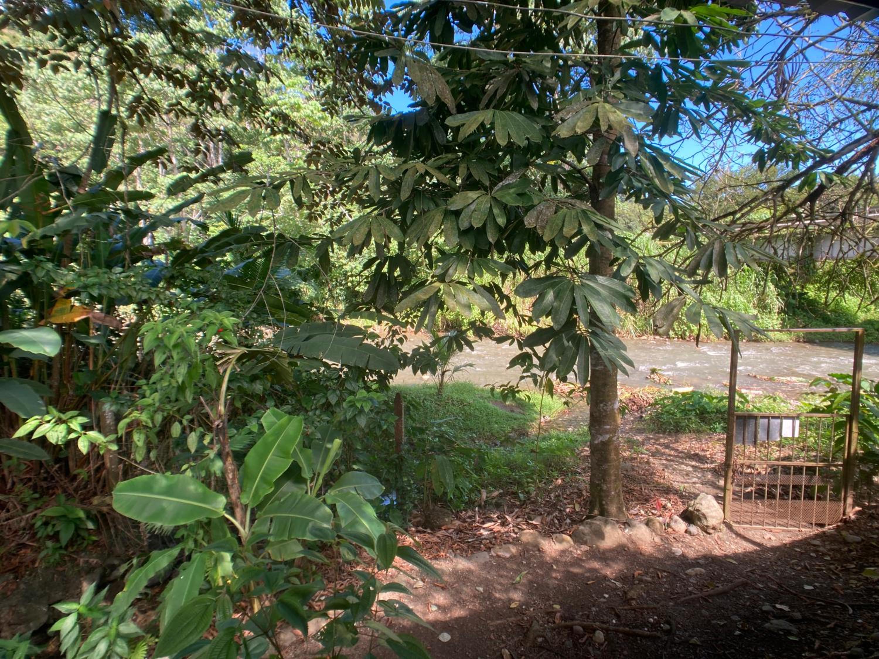 YEJOS Jungle Lodge