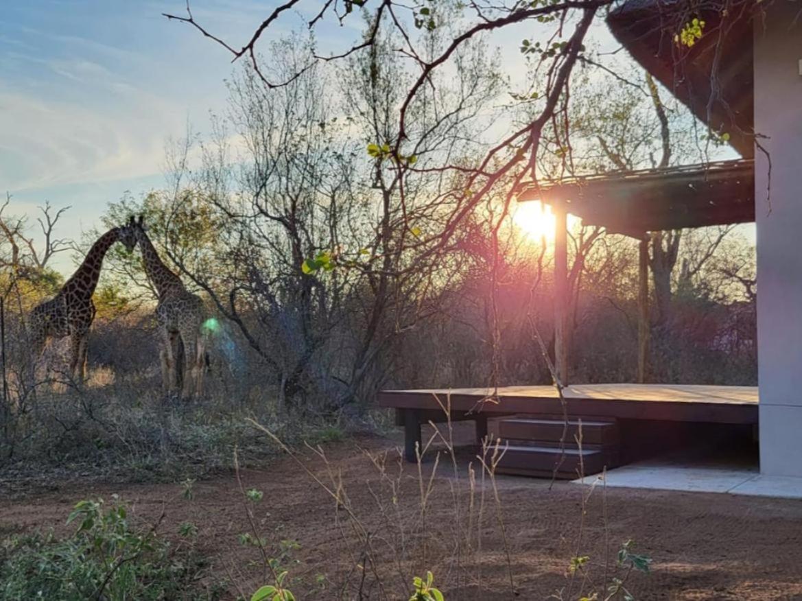 Taaibos Bush Lodge view 5