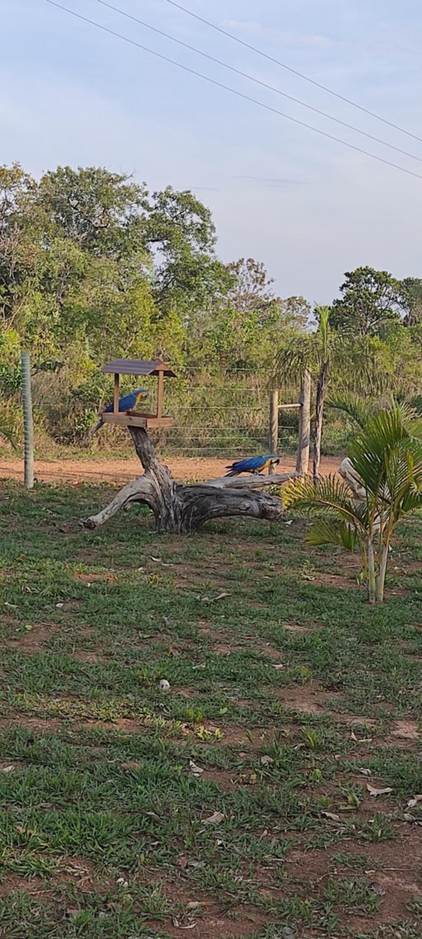 Casa cerrado
