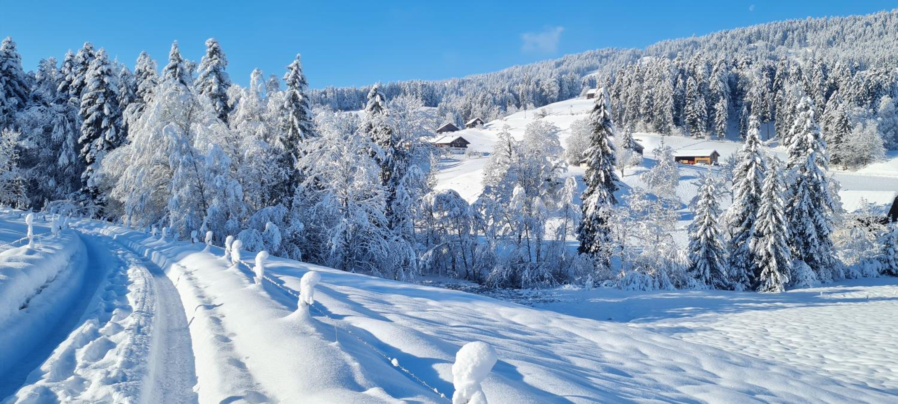 Landhaus Eibelesee