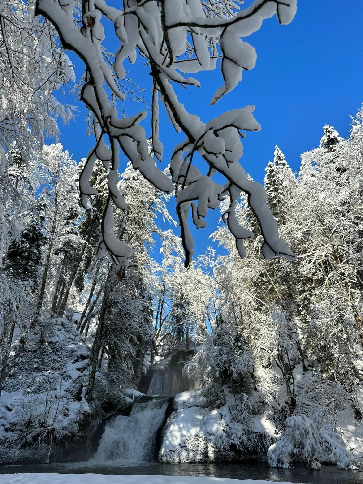 Landhaus Eibelesee