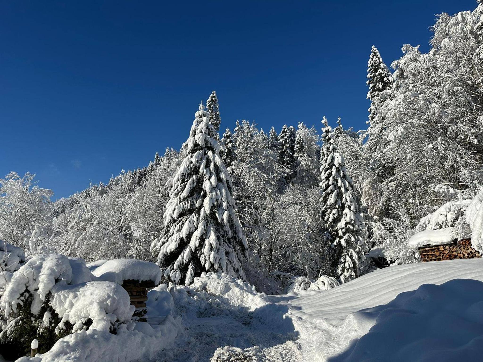 Landhaus Eibelesee