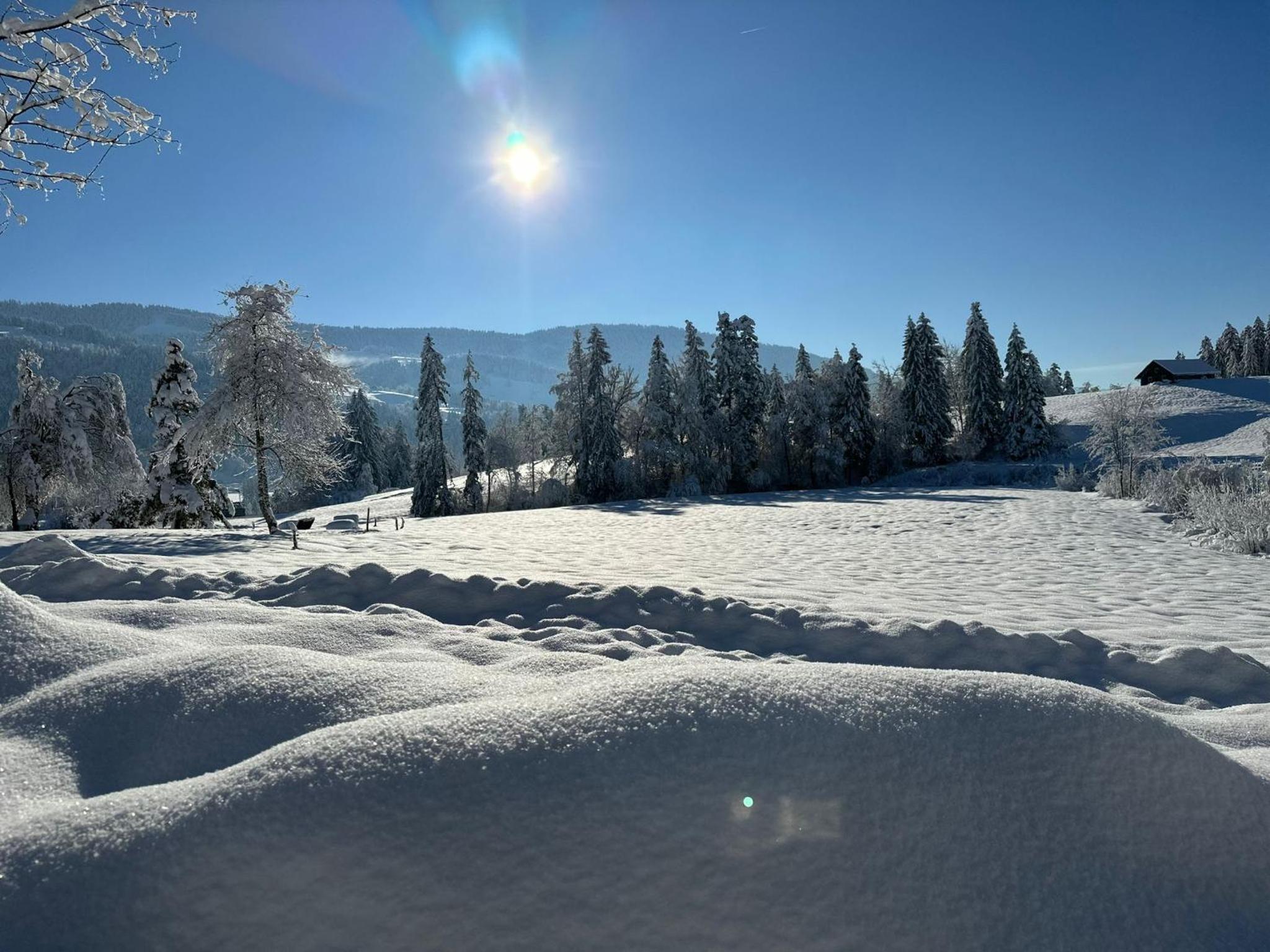 Landhaus Eibelesee