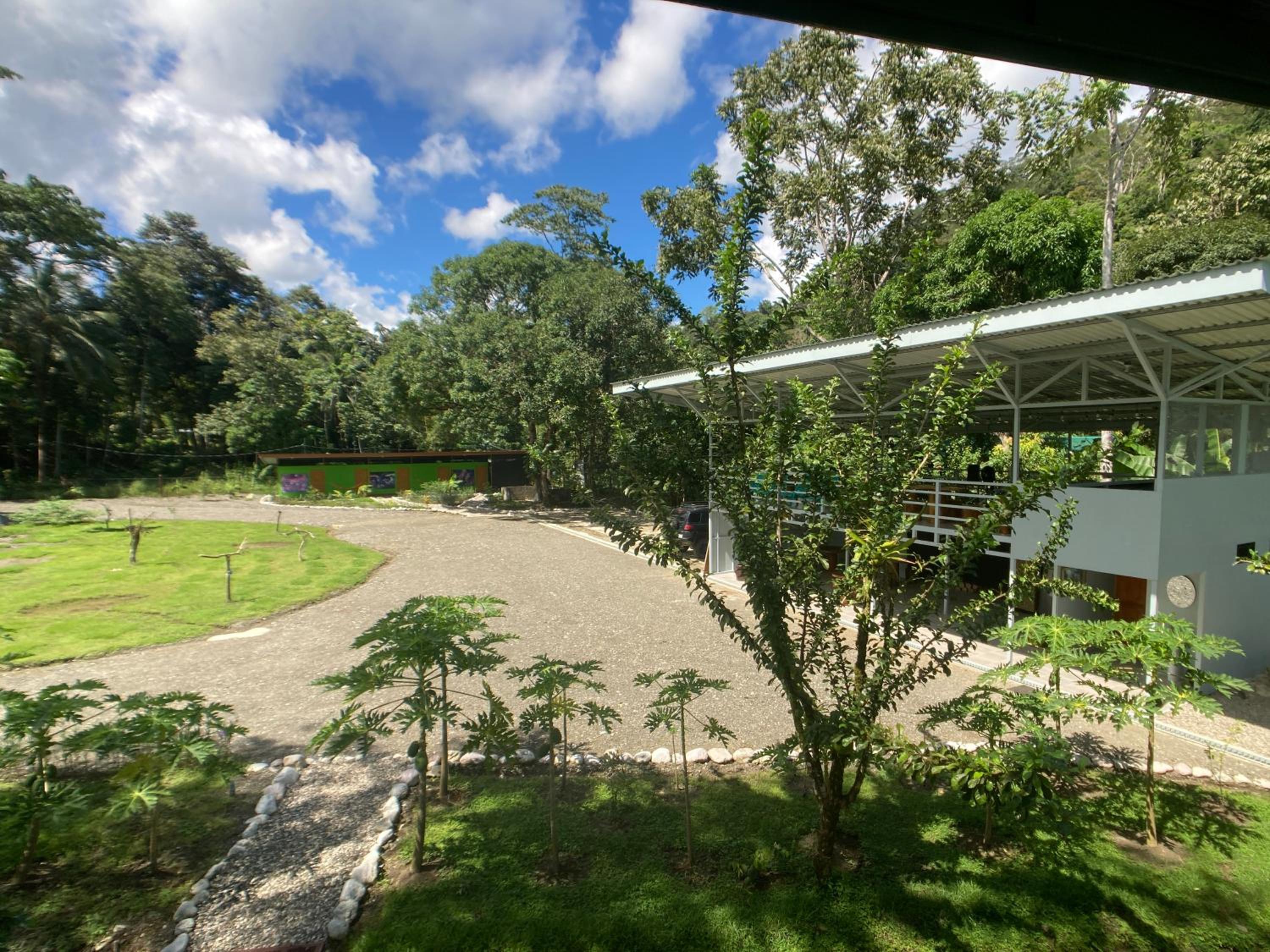 YEJOS Jungle Lodge
