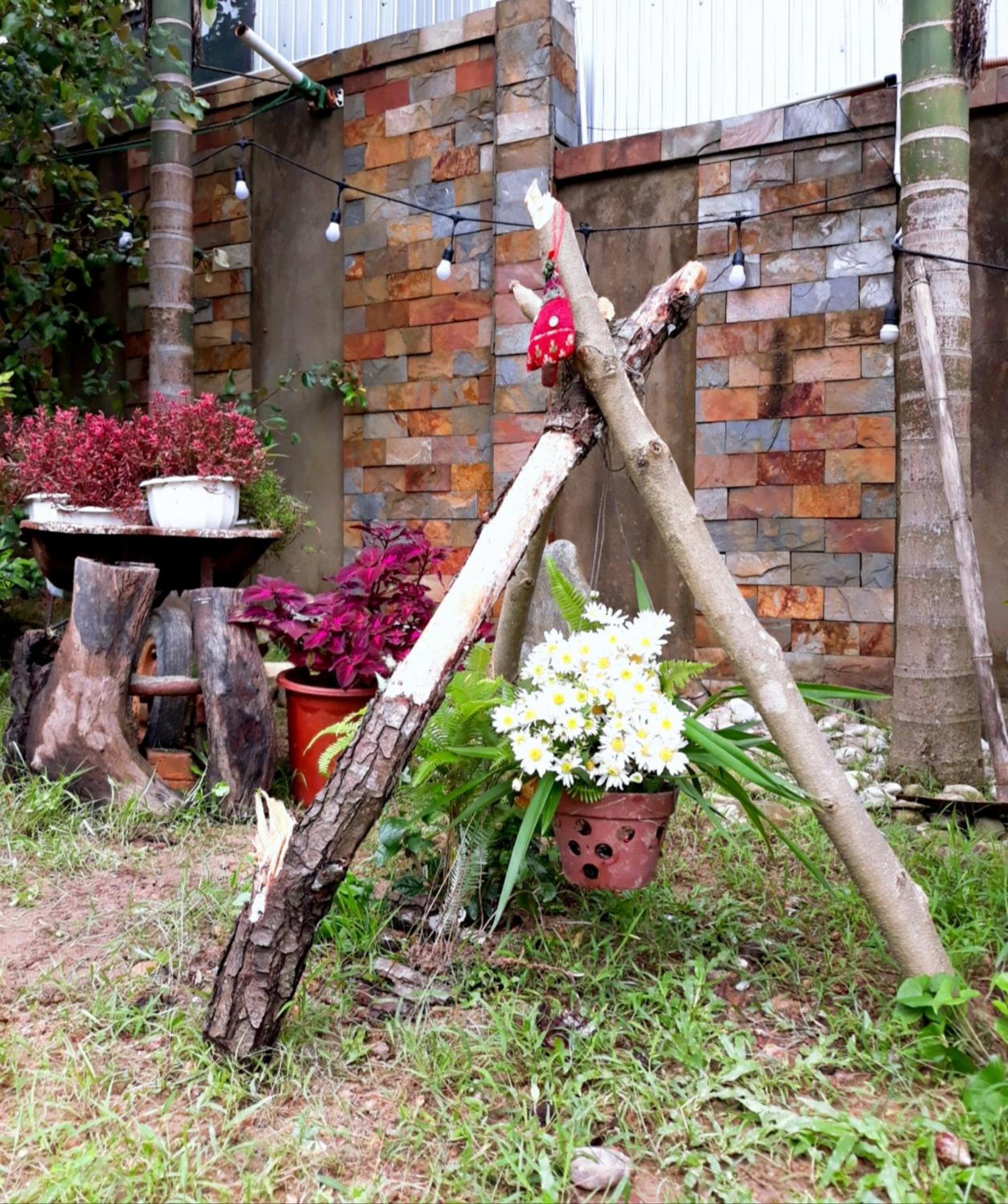 Photo 45