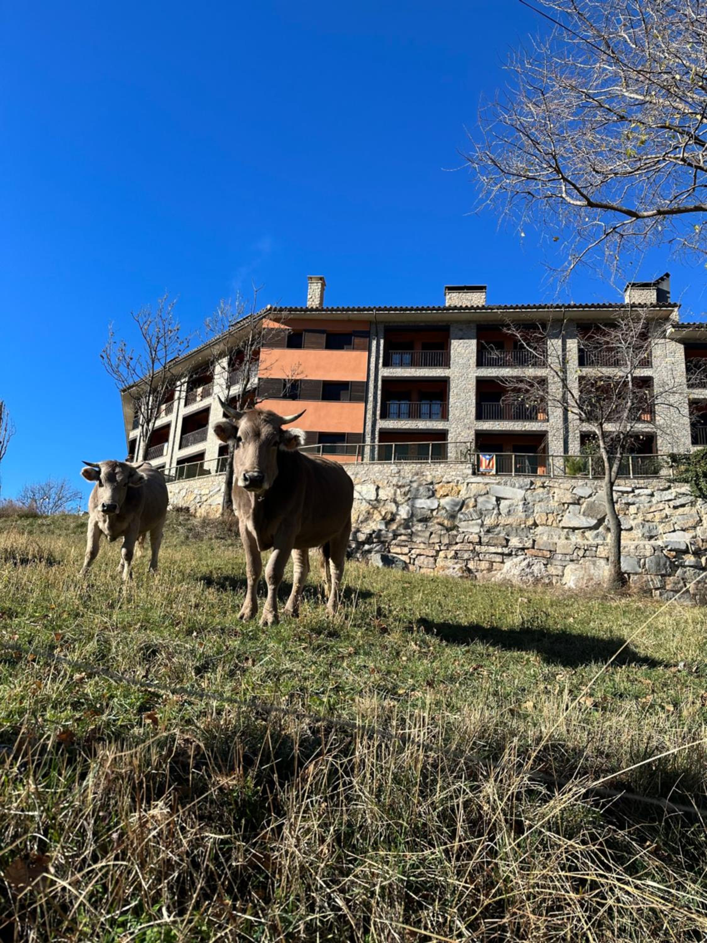 Saldes Pedraforca photo 5