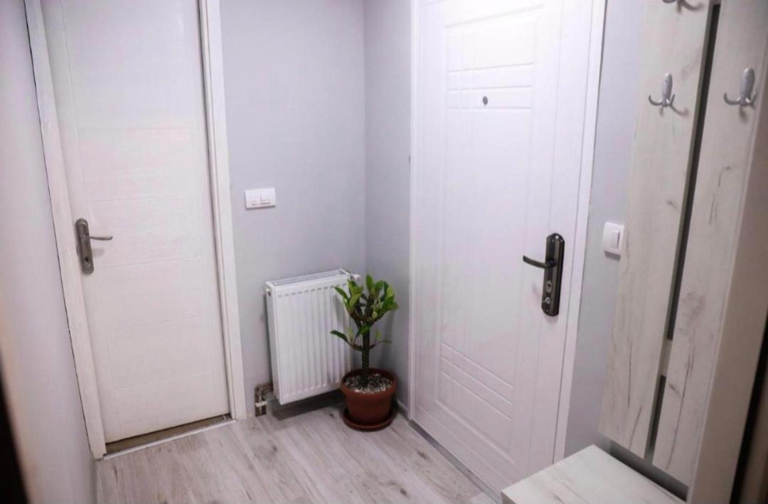 Photo 33
