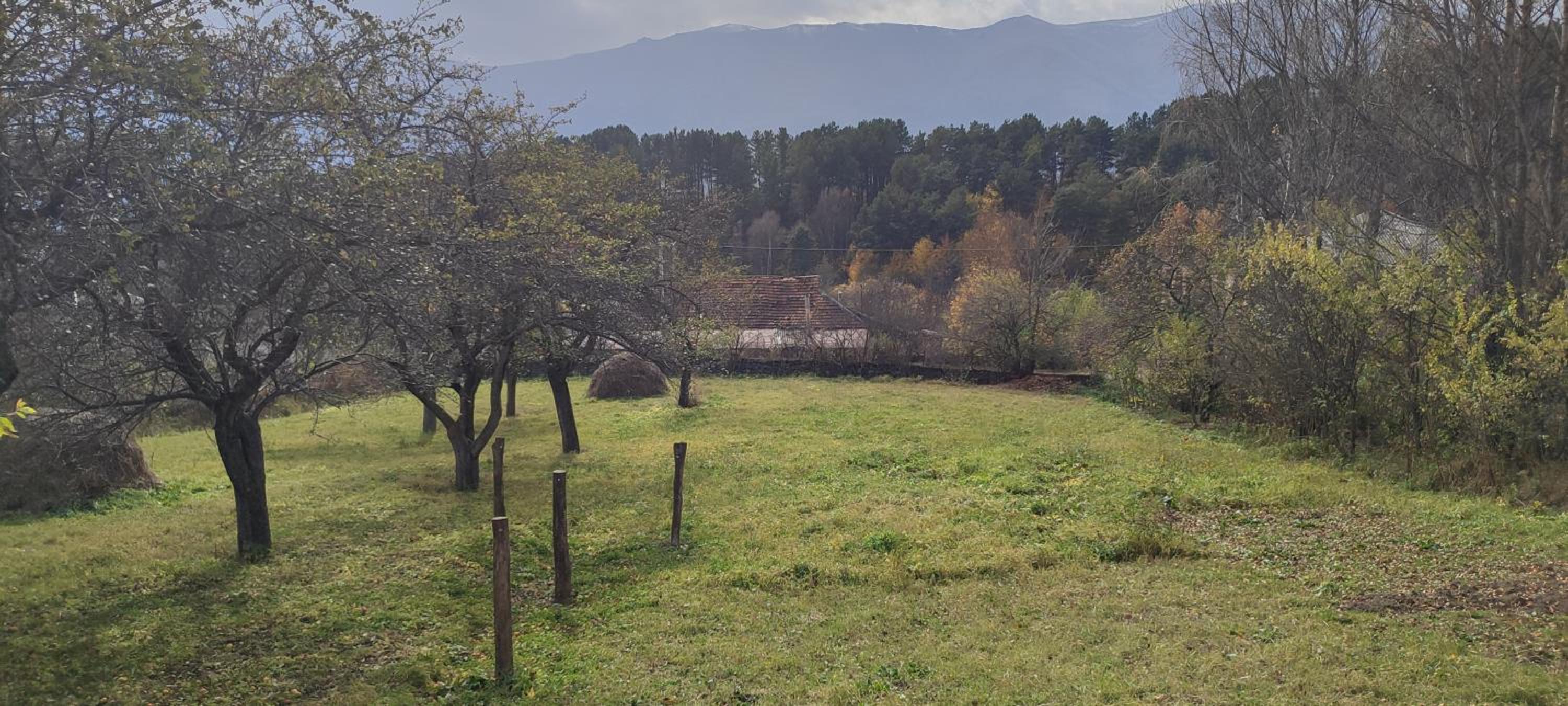 Hovit Holiday Home