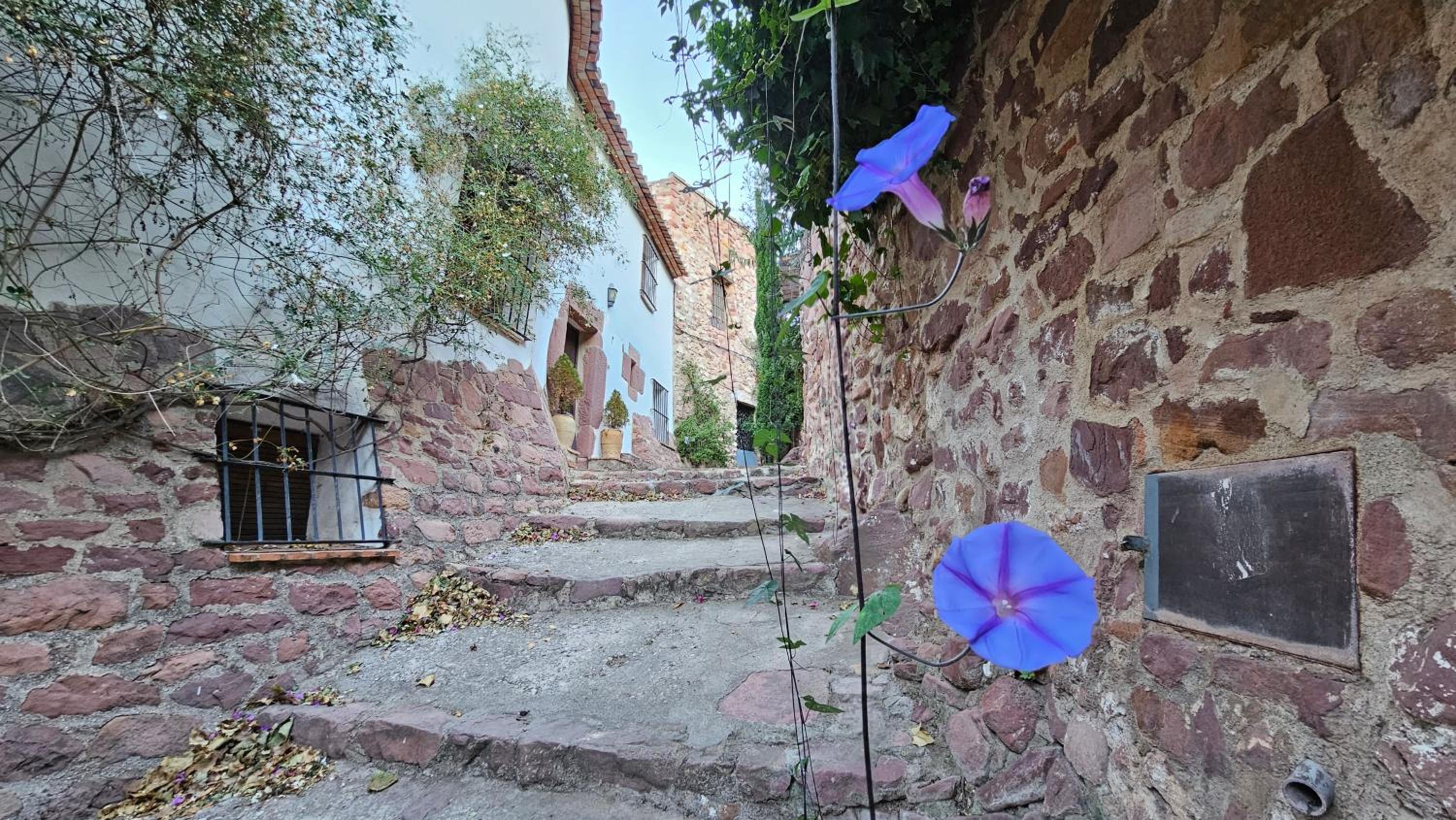 Casa Turistica Torreón de Villafamés